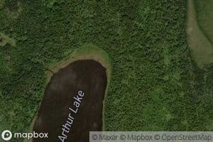 Arthur Lake