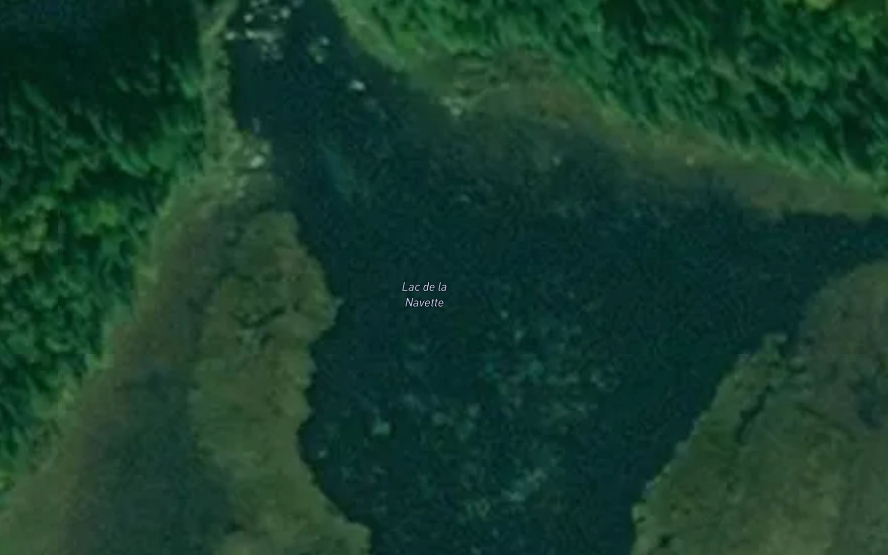 Satellite map of the Lac de la Navette
