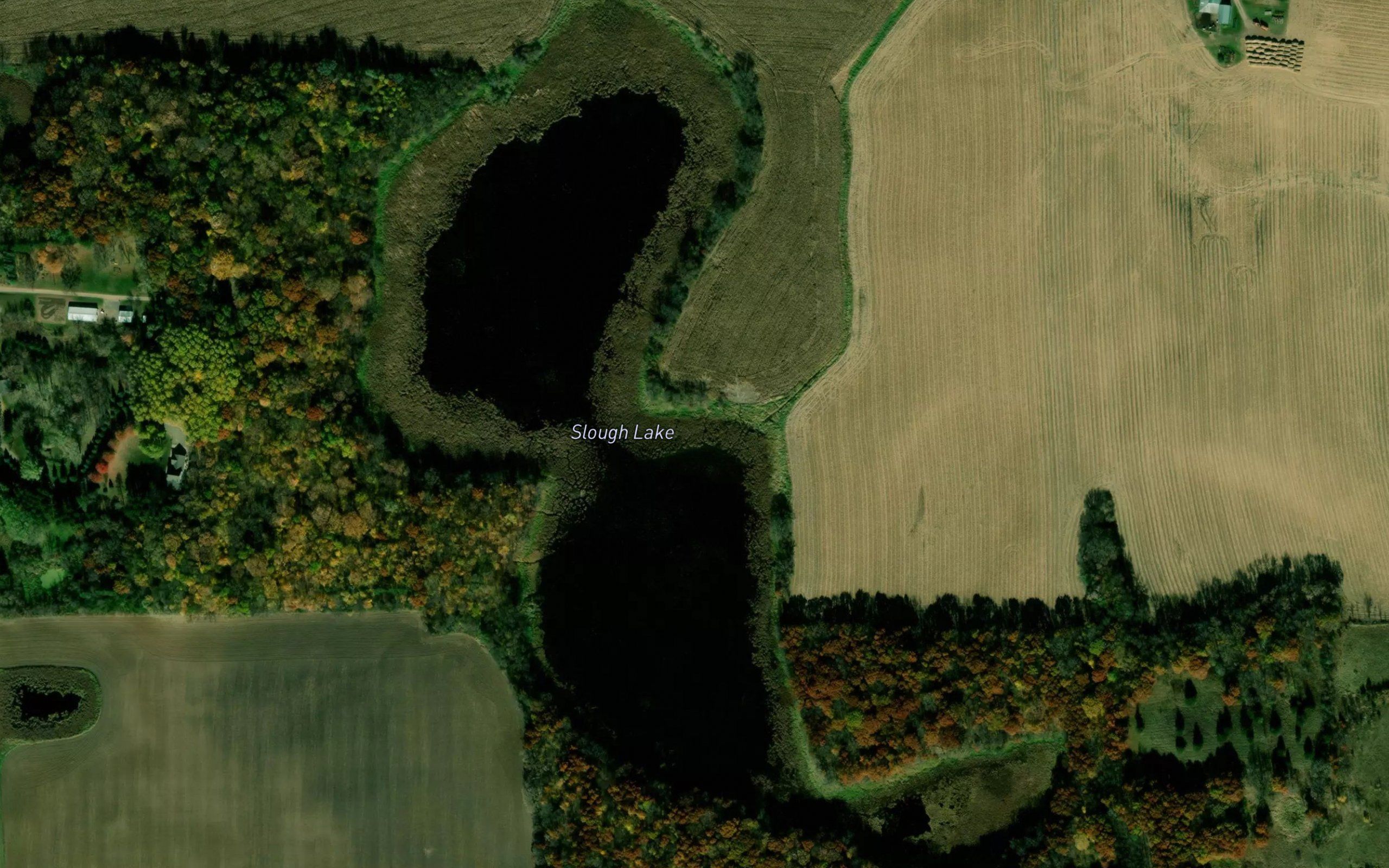 Slough Lake