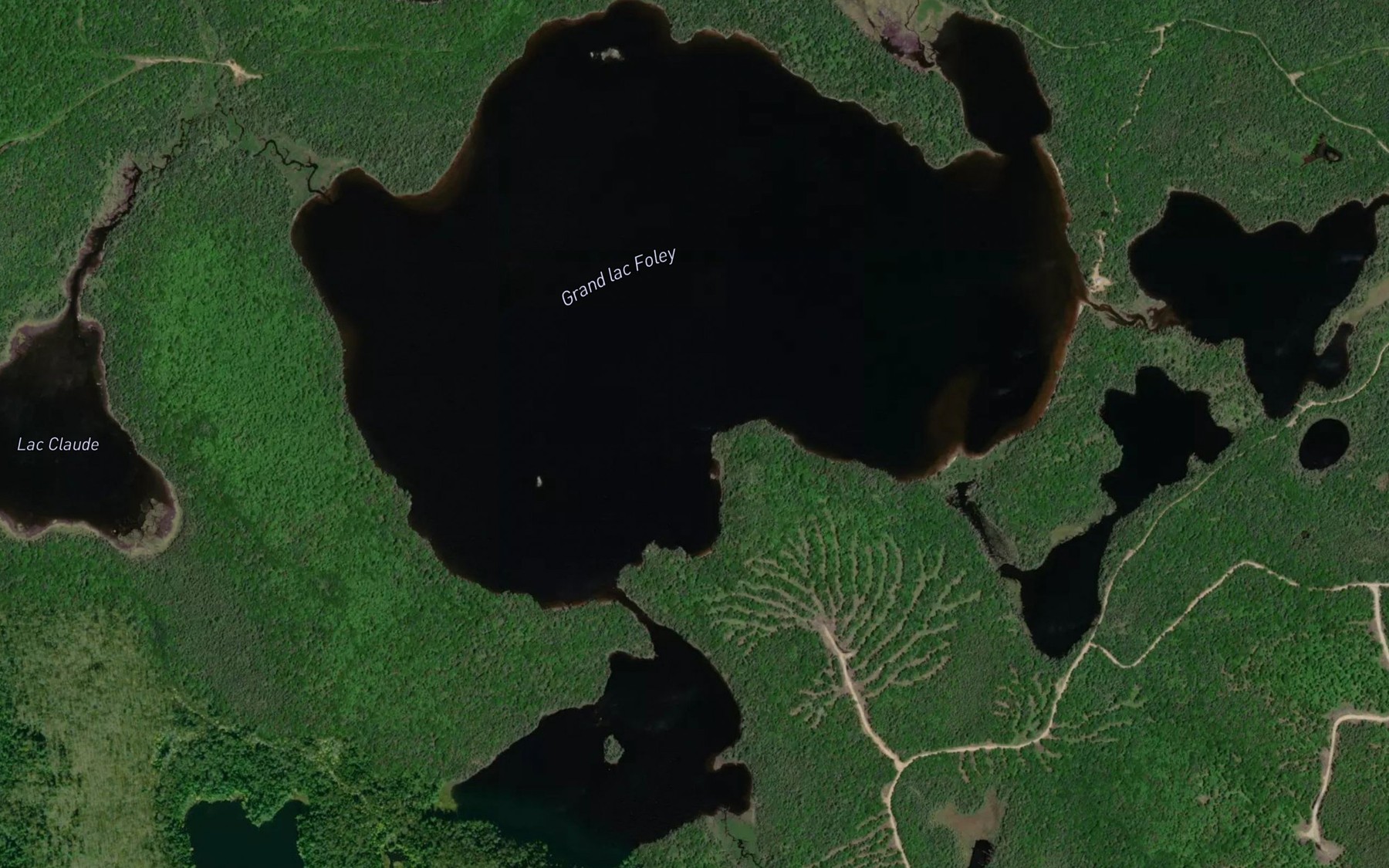 Satellite map of the Grand lac Foley