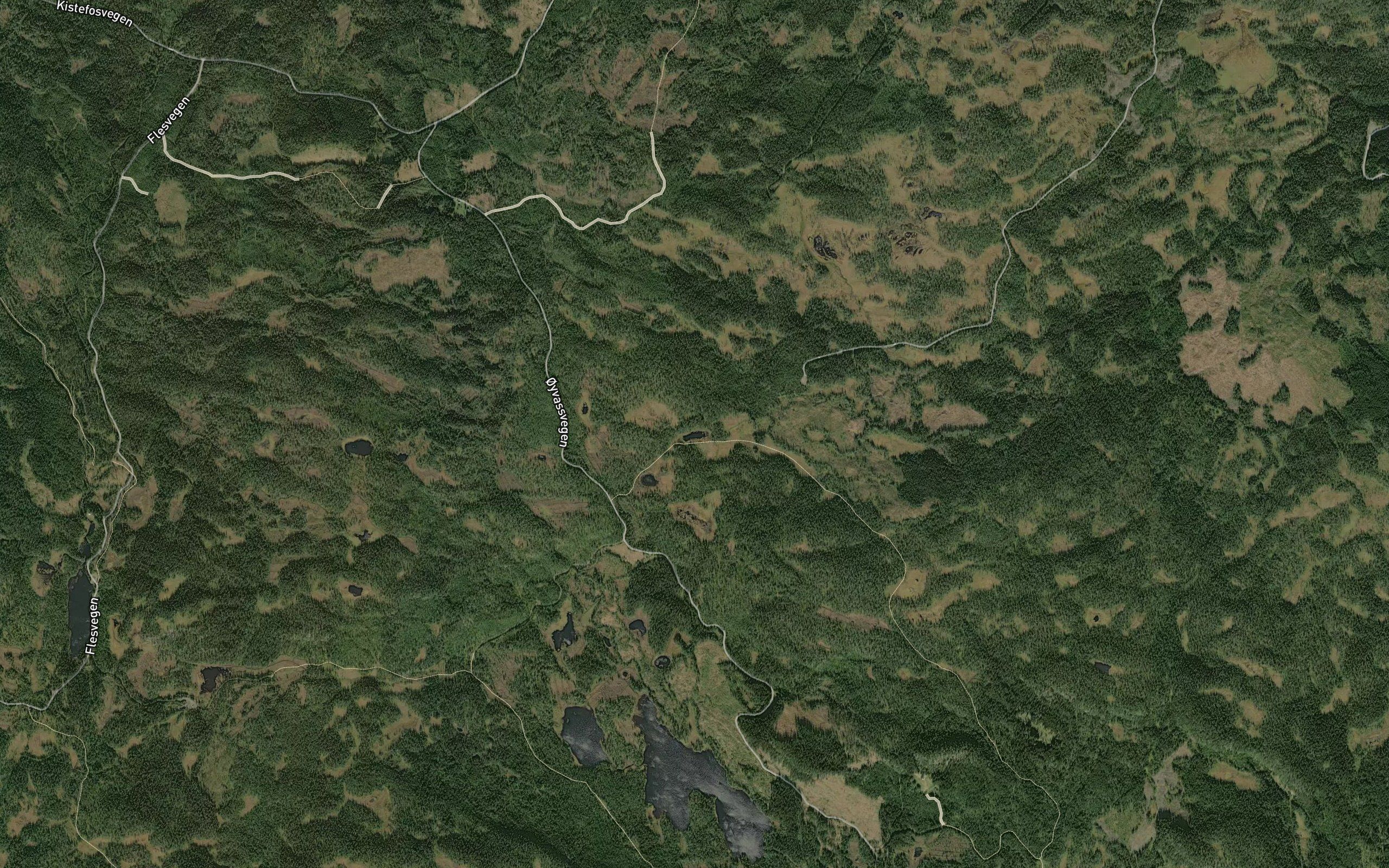 Furupullen