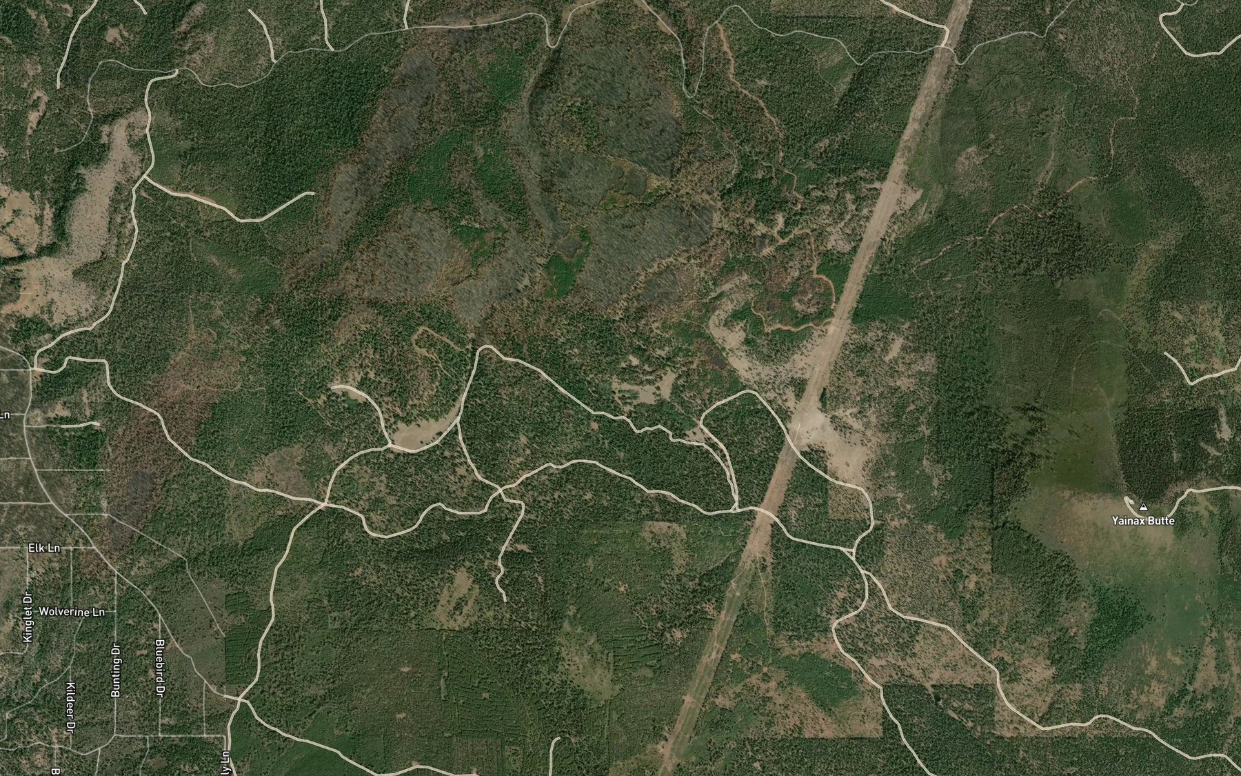 Satellite map of the Tamarack Spring