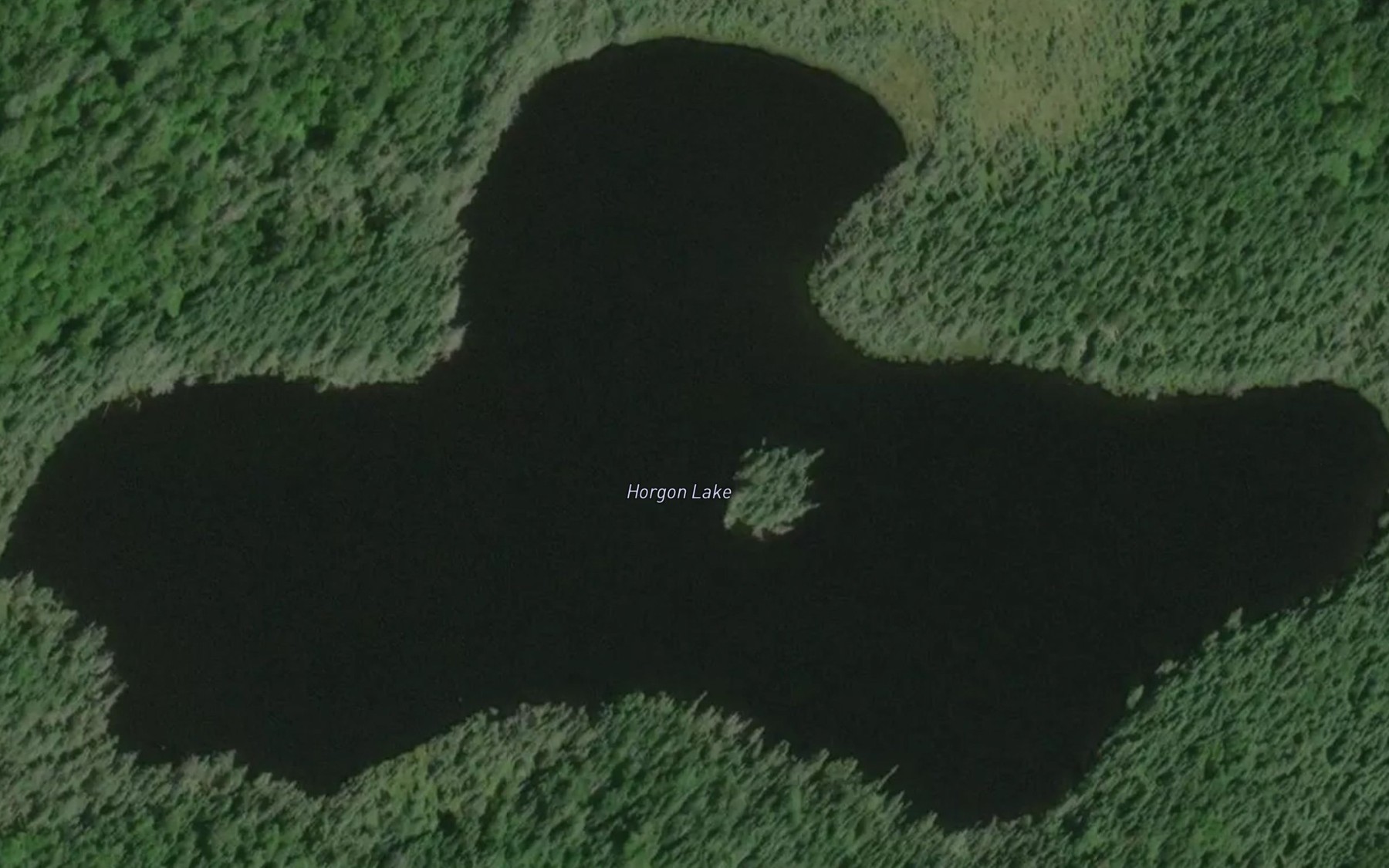 Satellite map of the Horgon Lake