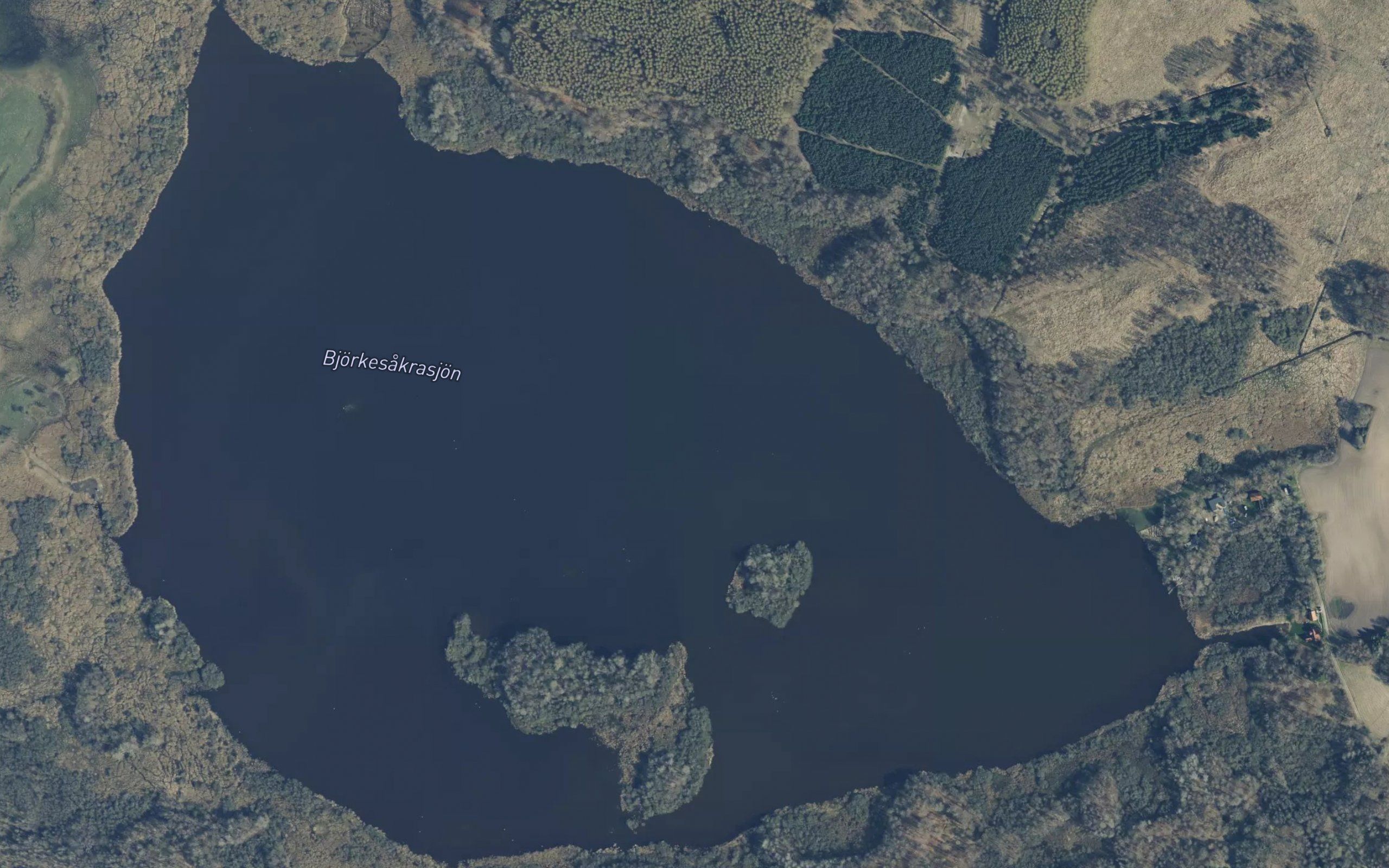 Bjoerkesakrasjoen