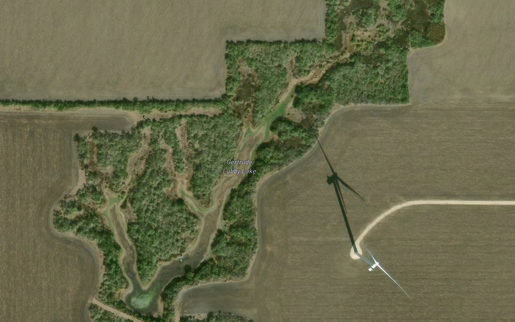 Satellite map of the Gertrude Lubby Lake