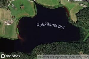 Kokkilanselka