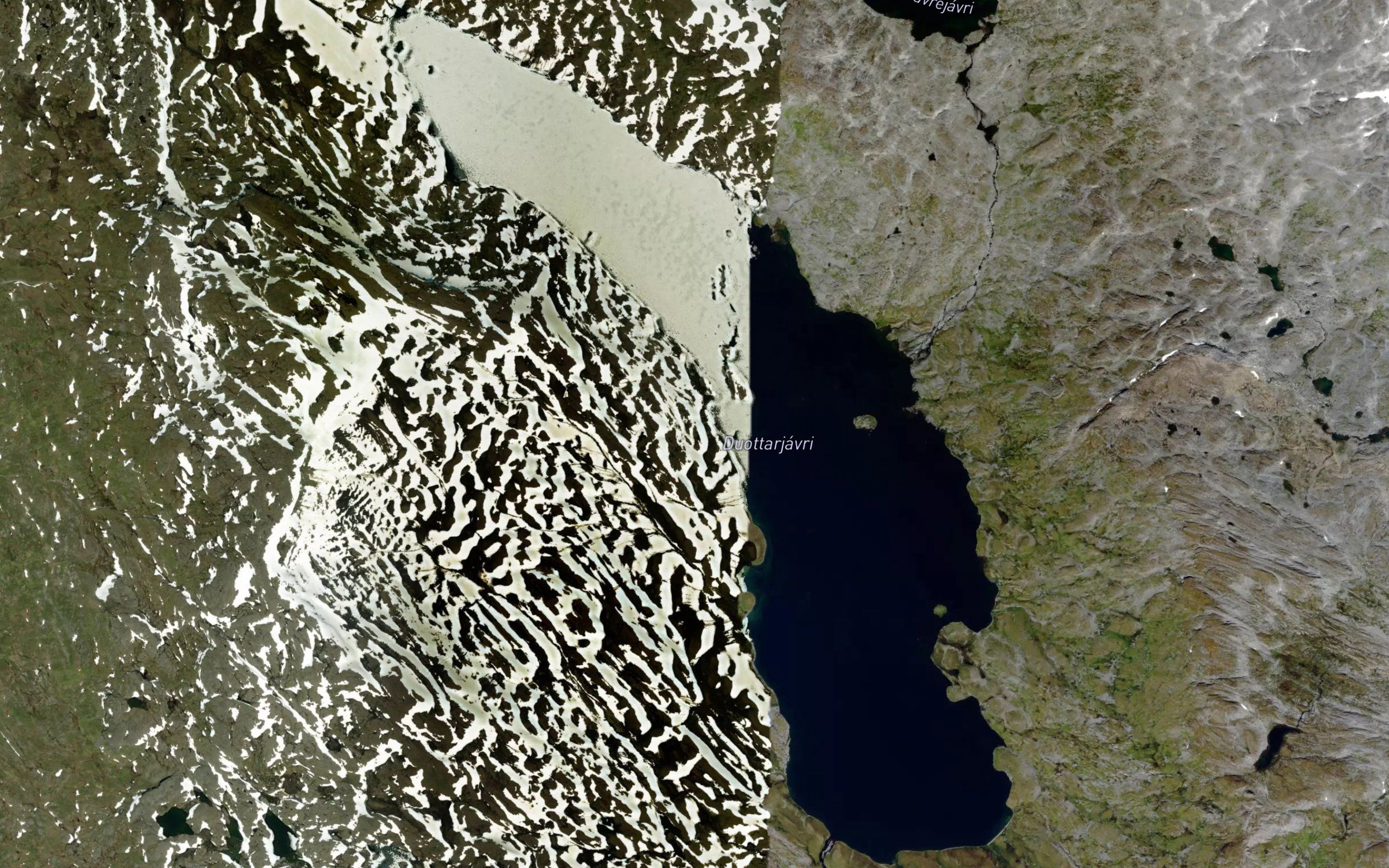Tutturjaure