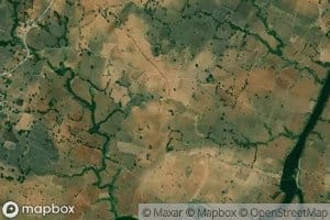 Patha Pachaura Minor