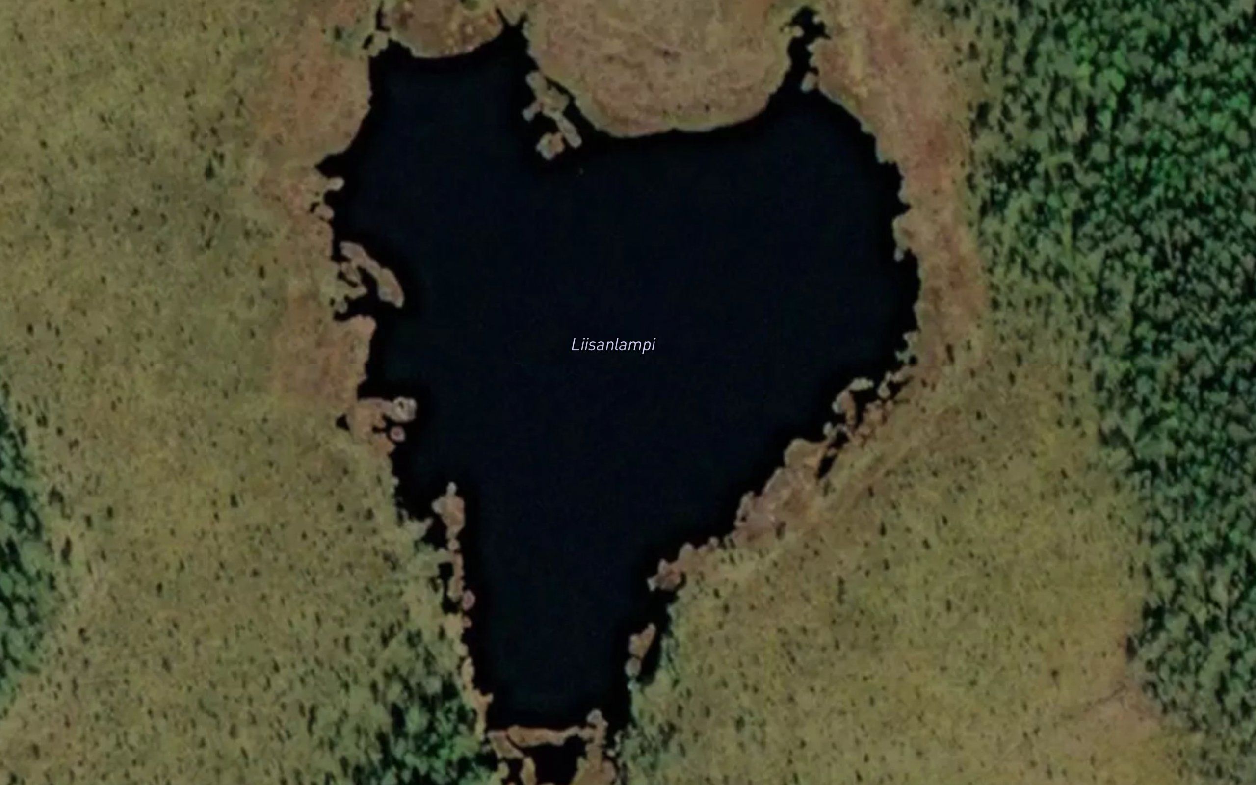 Liisanlampi