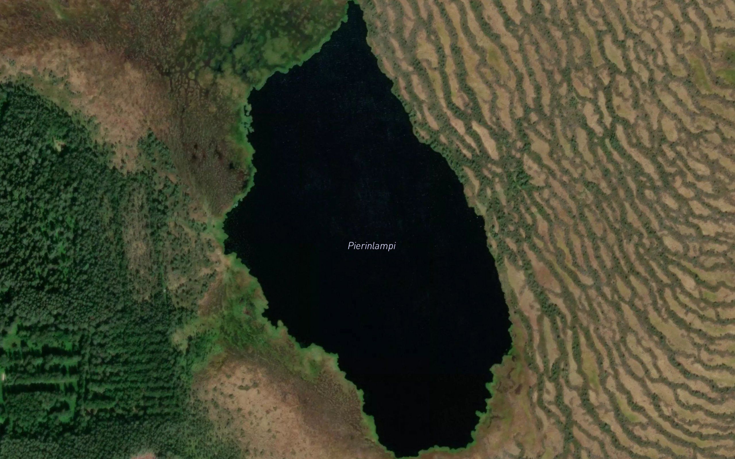 Pierinlampi