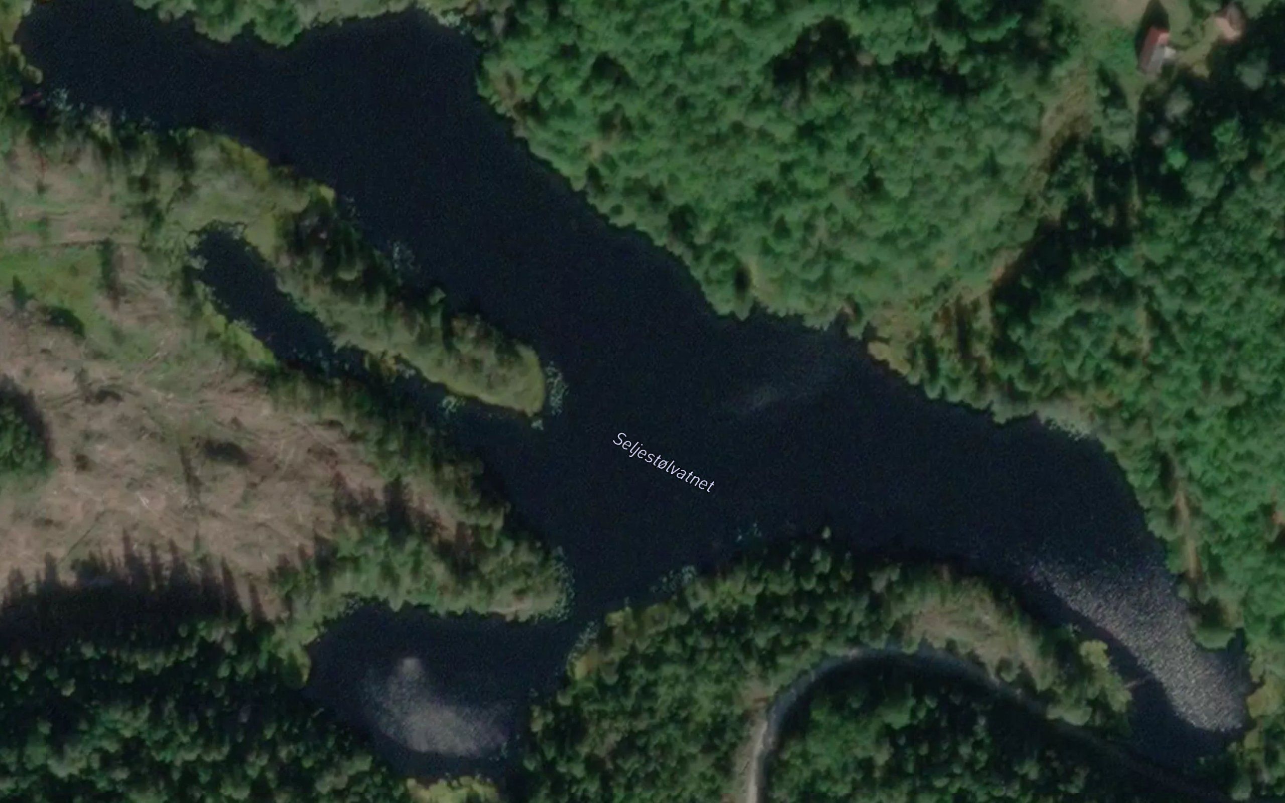 Seljestolvannet
