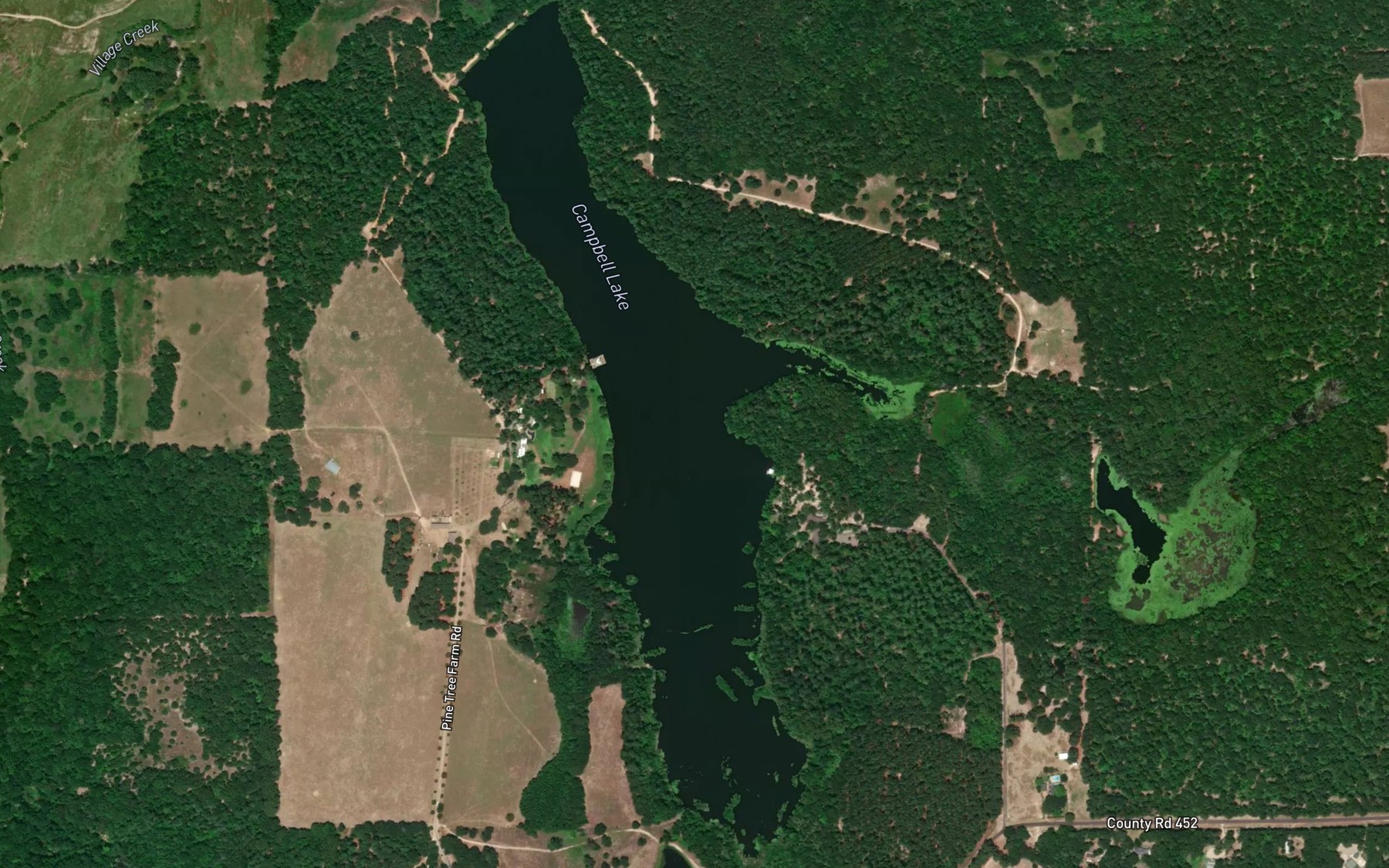 Satellite map of the Campbell Lake