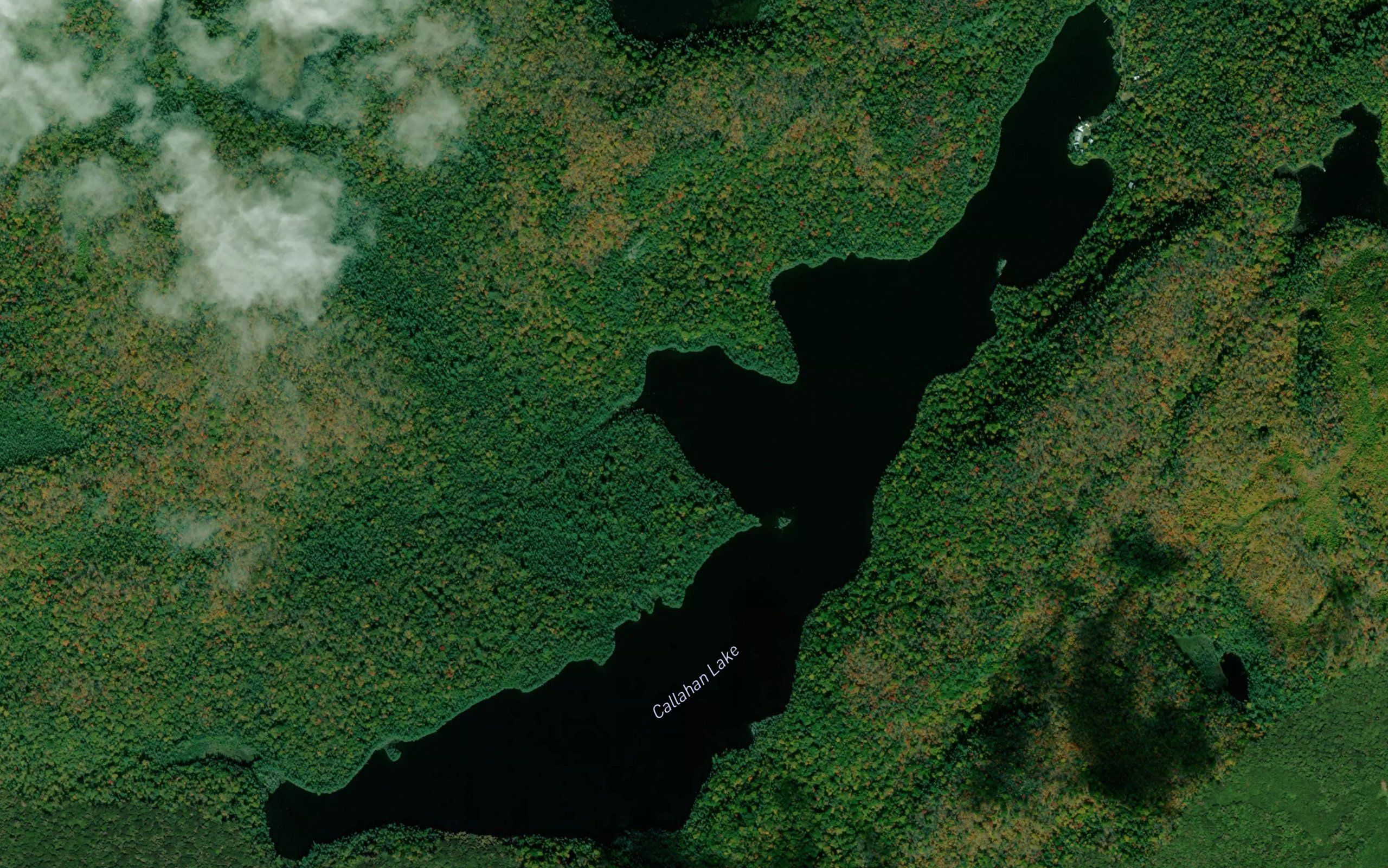 Callahan Lake