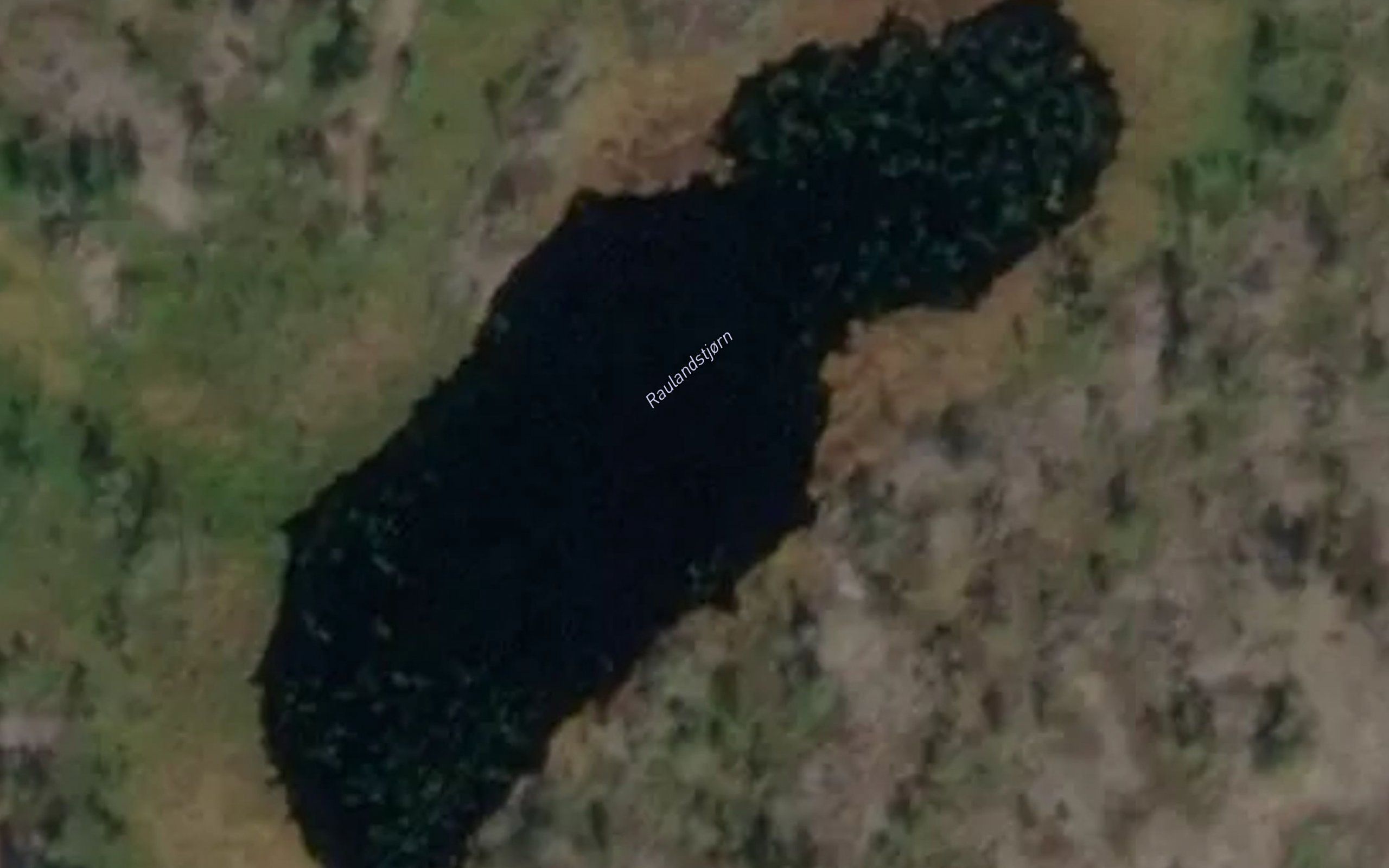 Pattetjonn