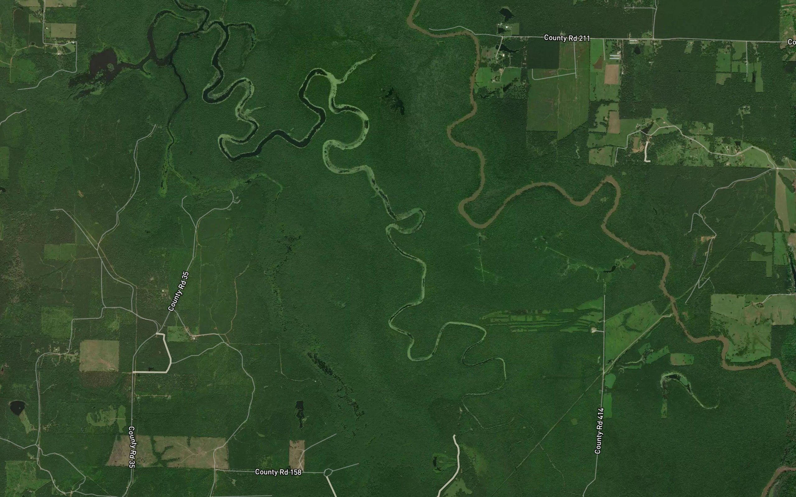 Mercer Bayou