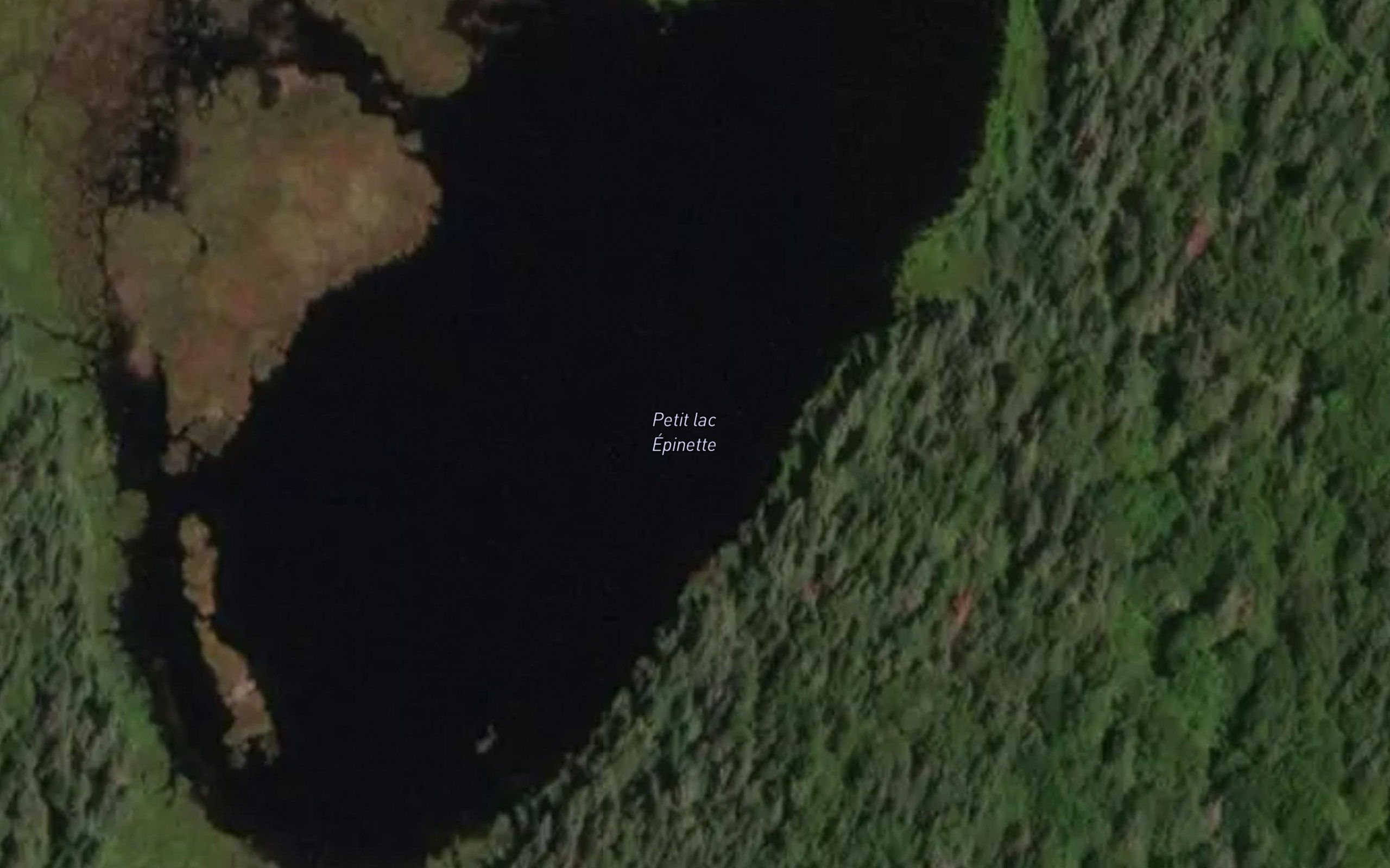 Petit lac Epinette