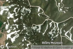 Beatty Springs