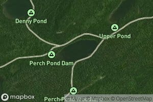 Perch Pond