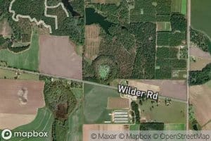 Cypress Pond