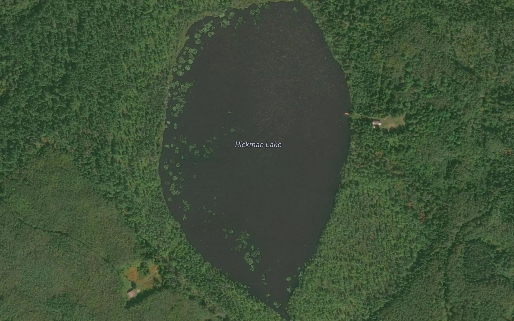 Satellite map of the Hickman Lake