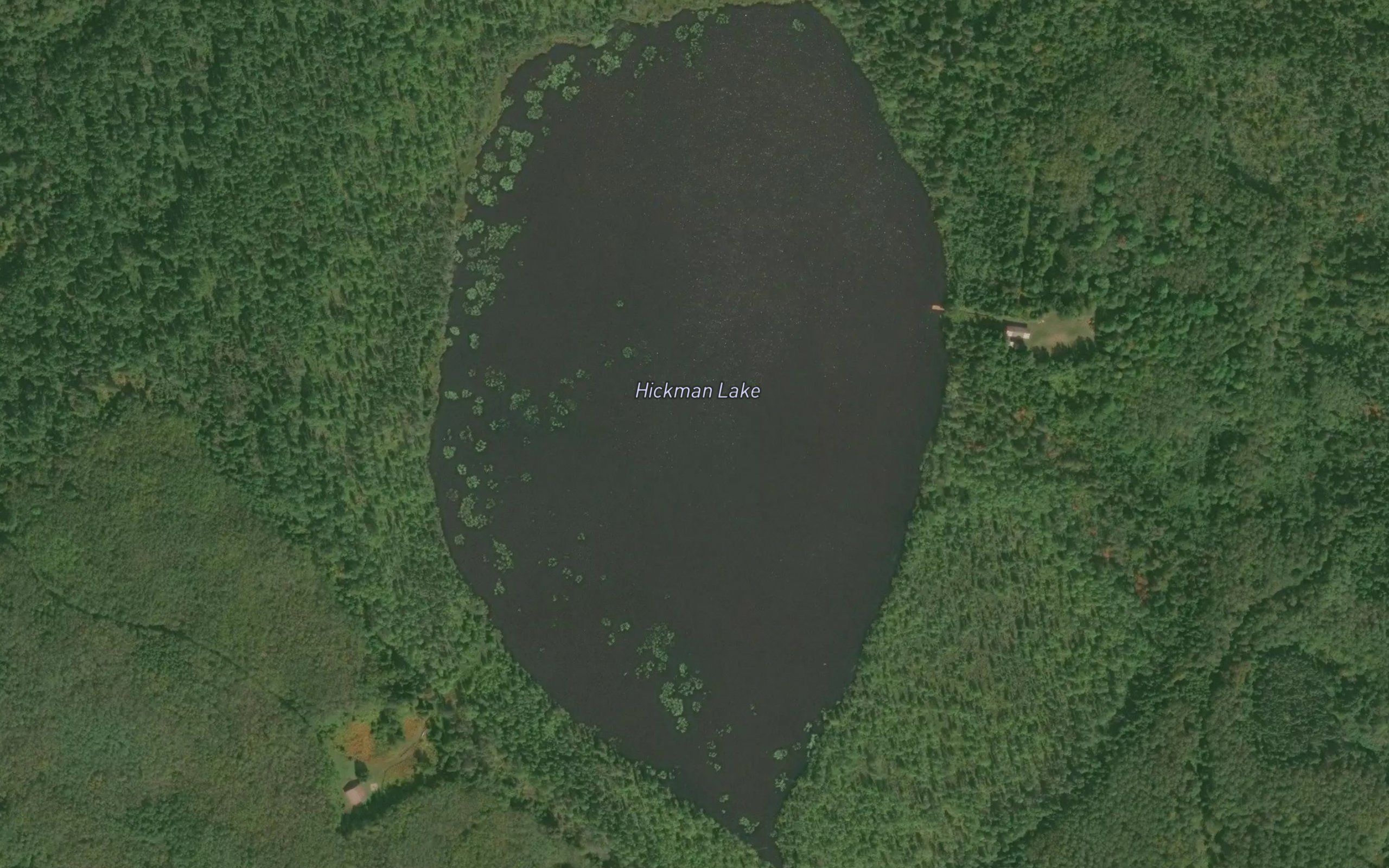 Hickman Lake