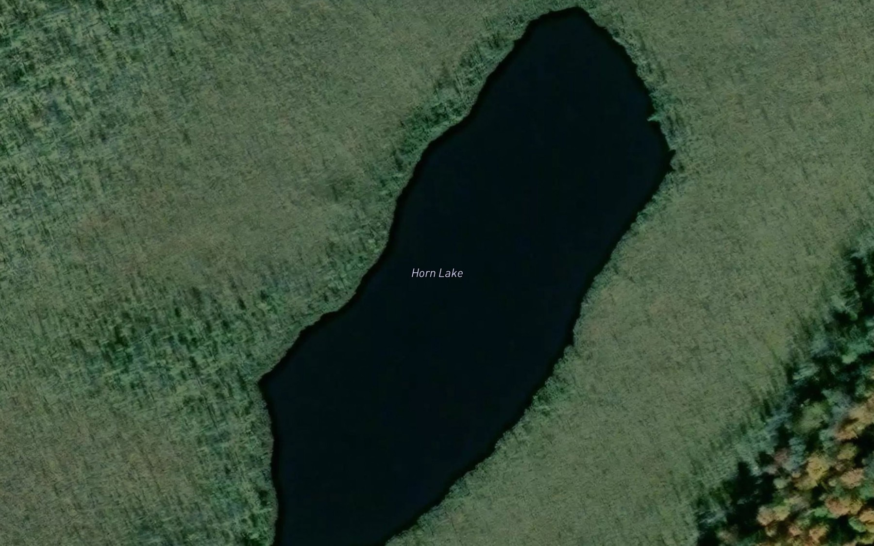 Satellite map of the Horn Lake