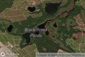 Black Brook Ponds