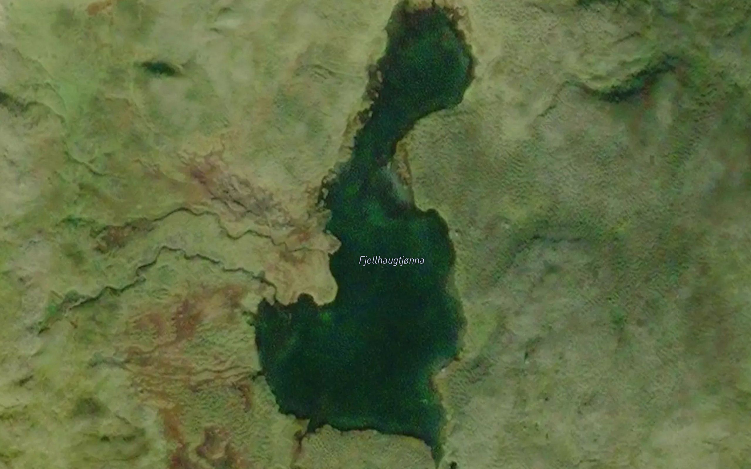 Fjellhaugtjorna