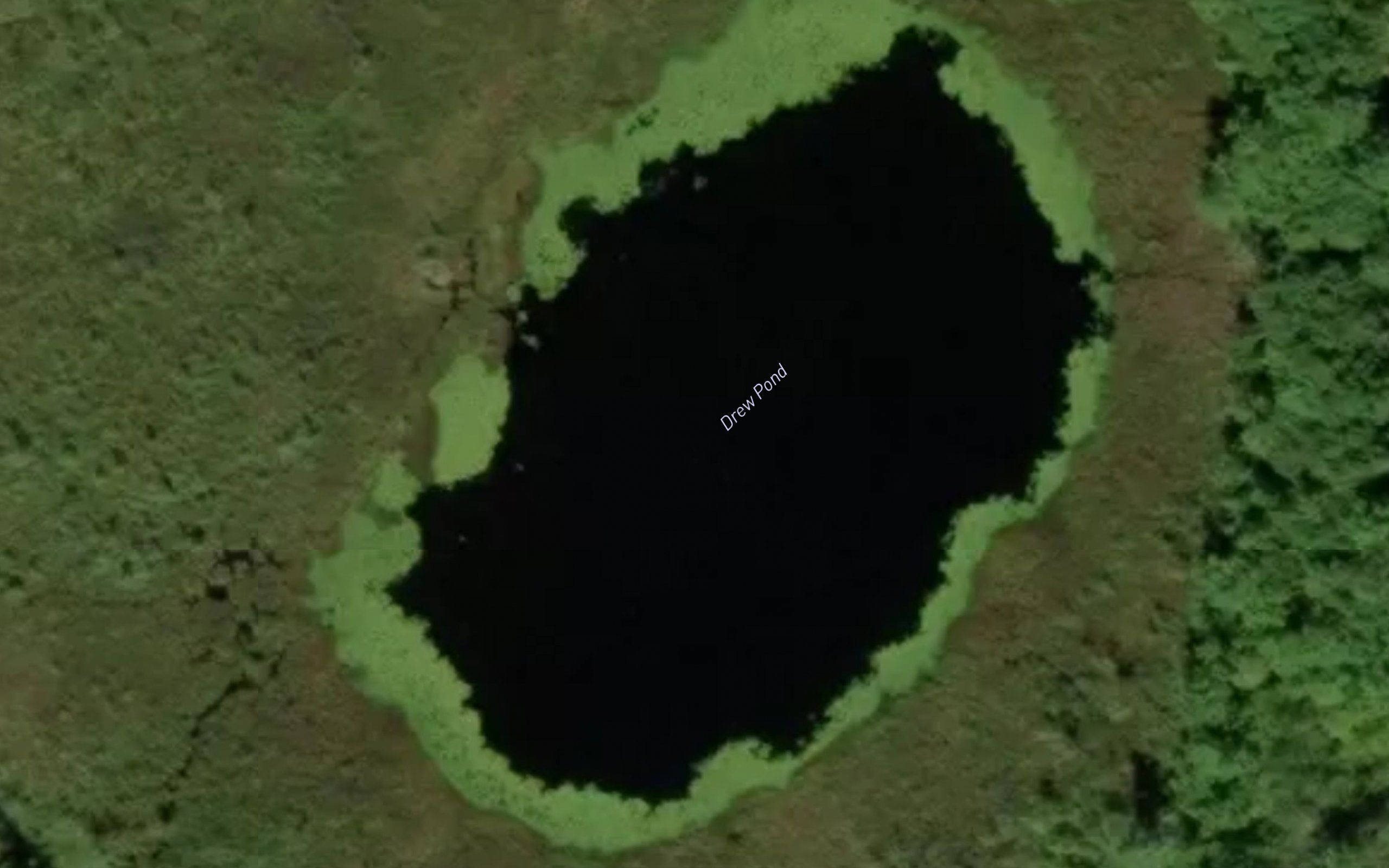 Drew Pond