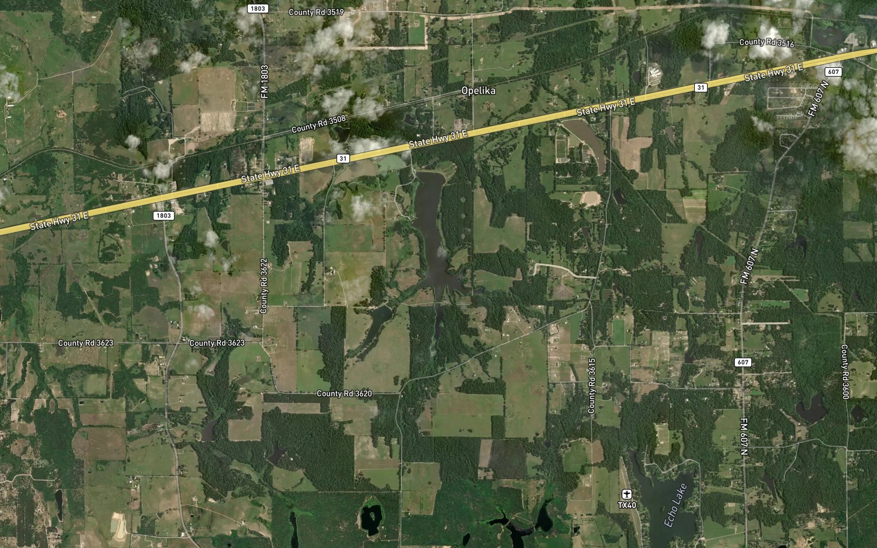 Satellite map of the Scott Marsh