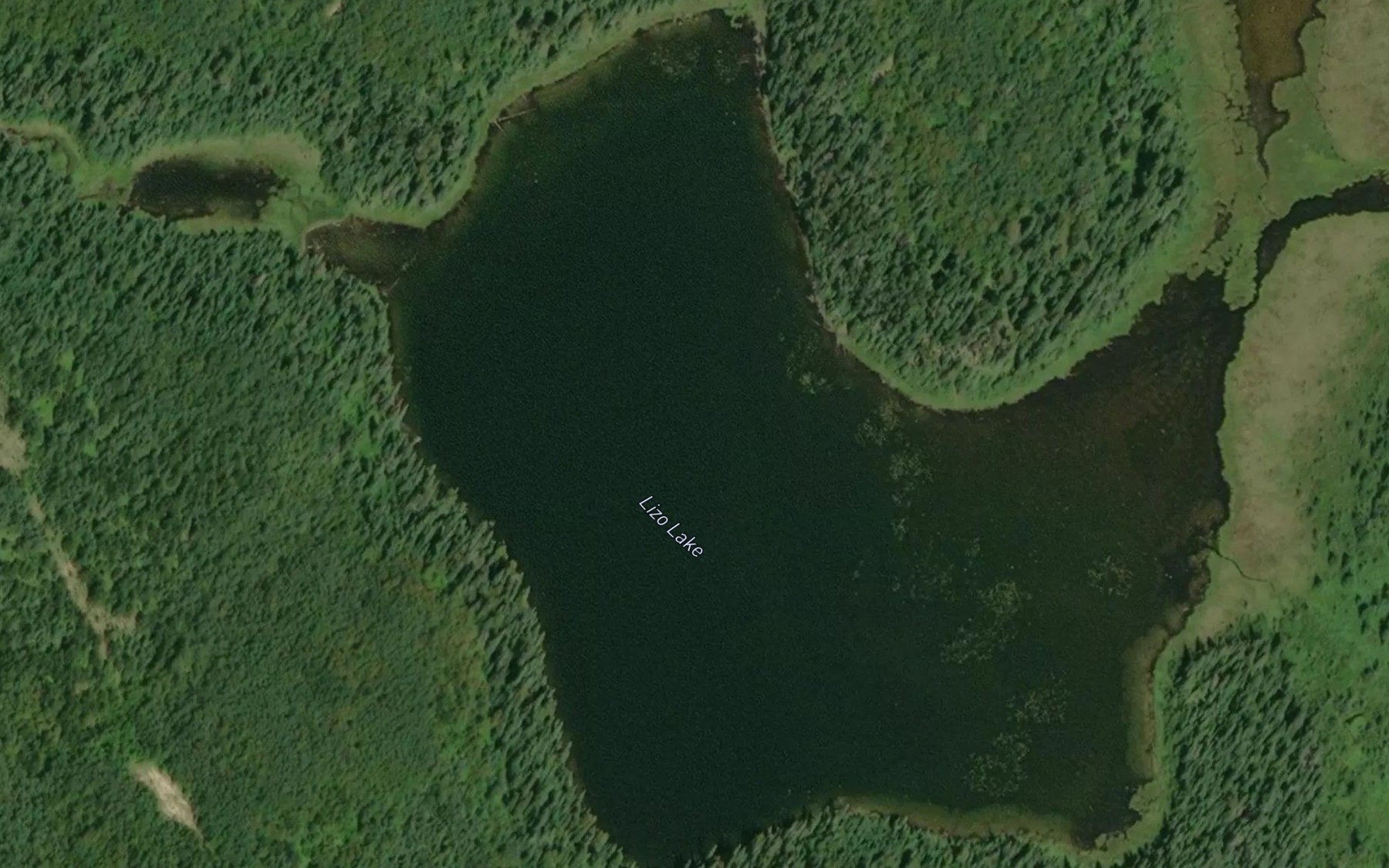 Satellite map of the Lizo Lake