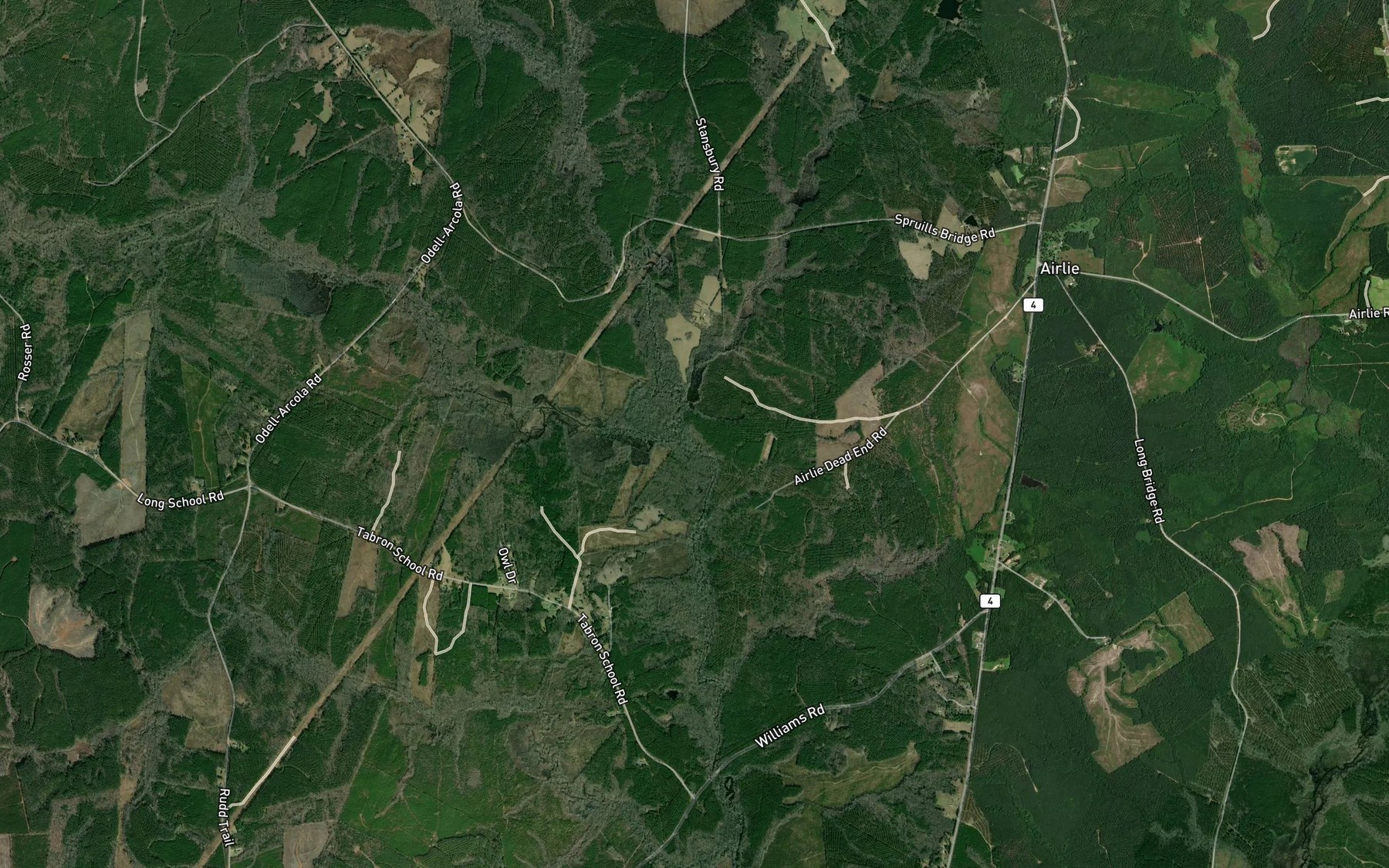 Satellite map of the Reedy Creek
