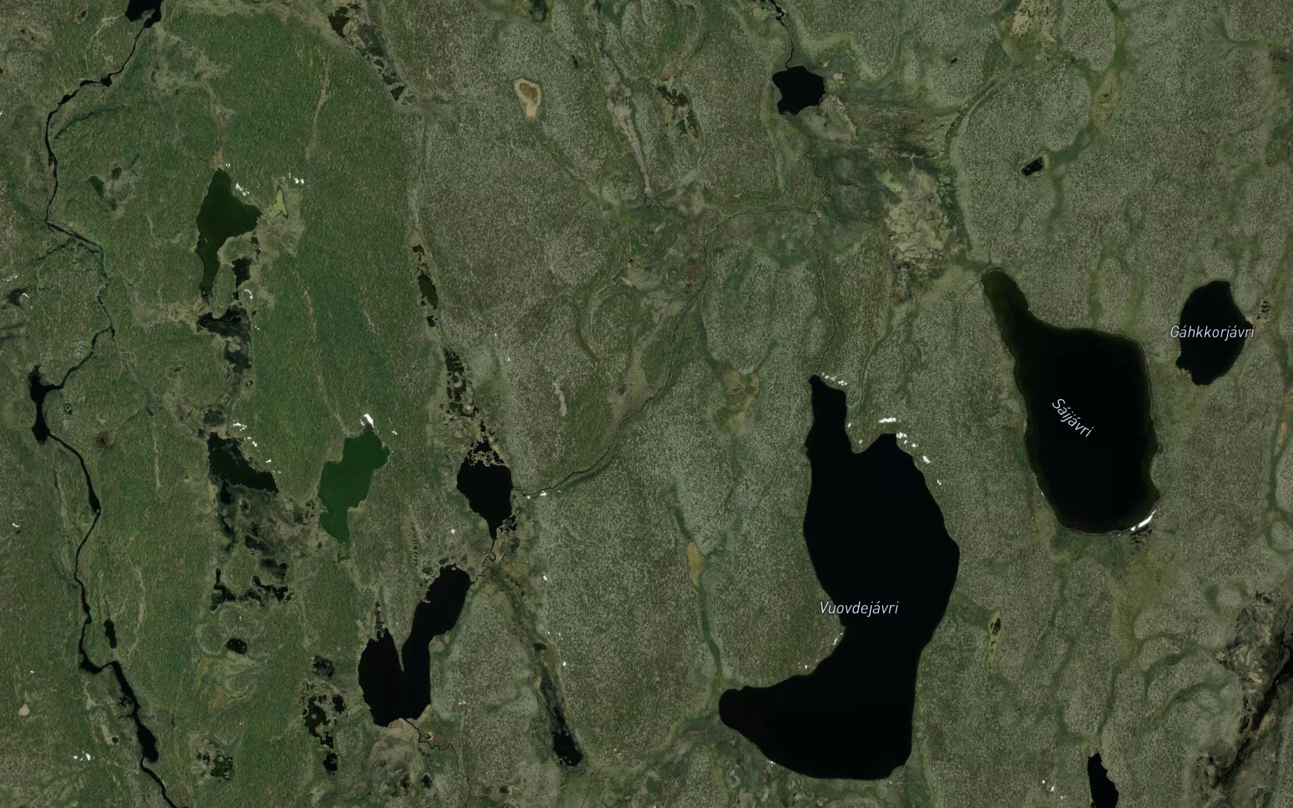 Skoarajakka