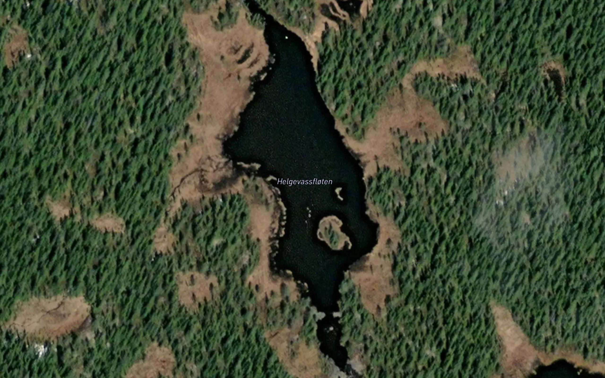 Helgevassfloyten