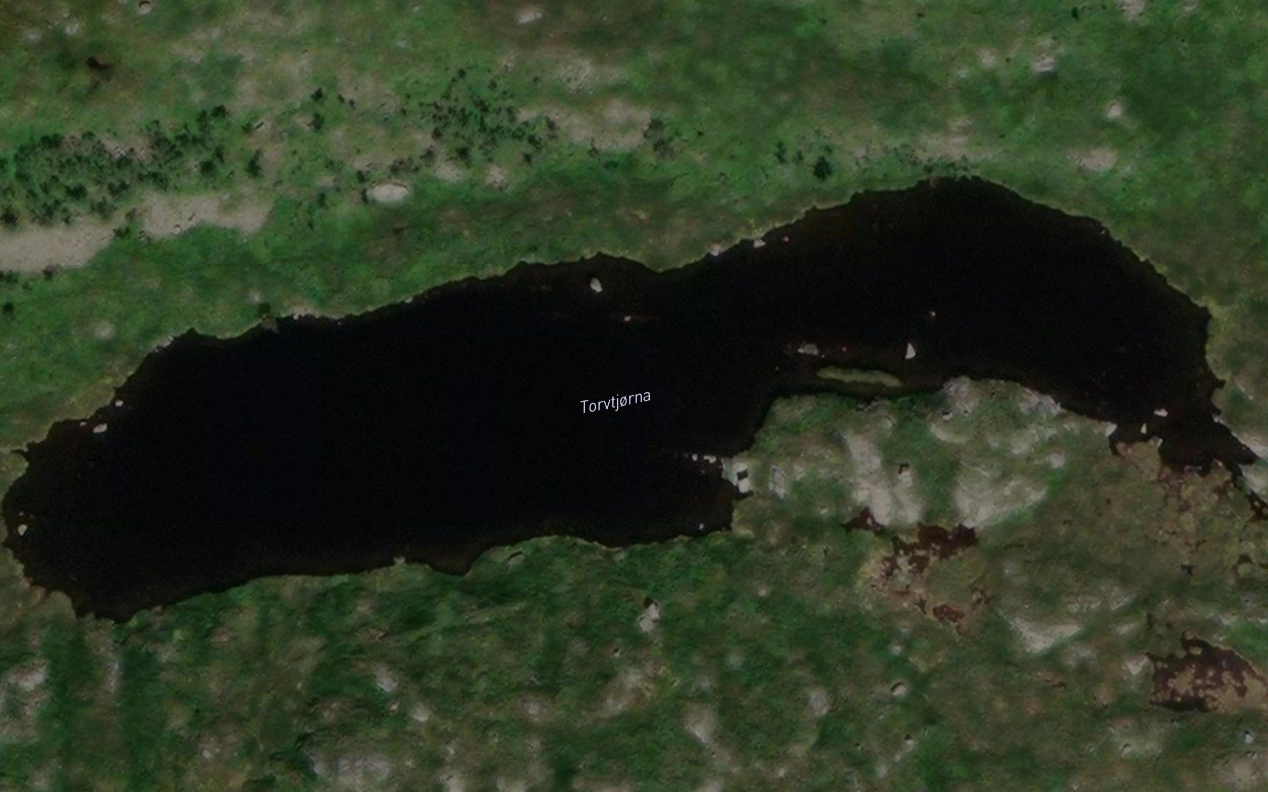 Torvtjorna
