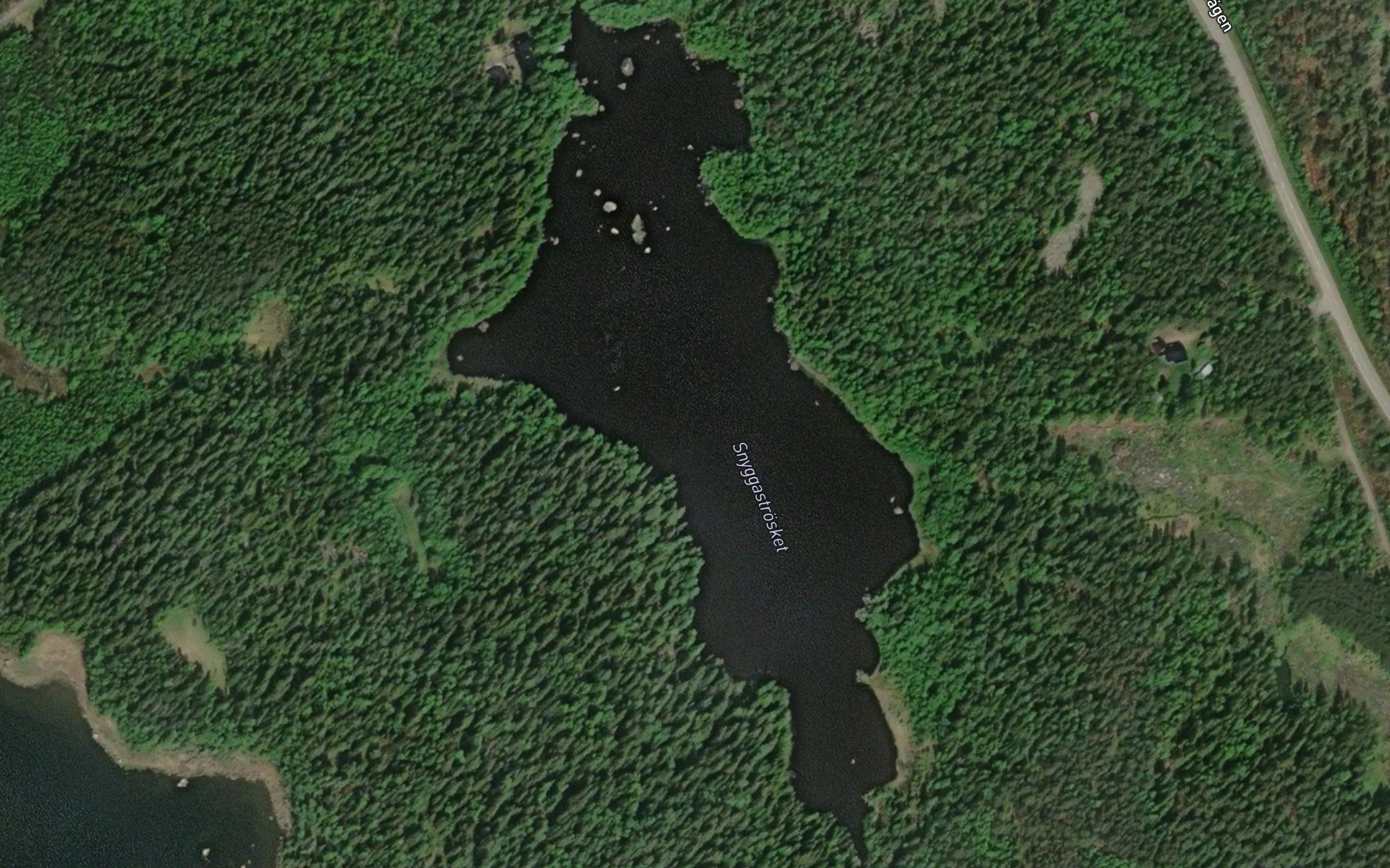 Snyggastrasket