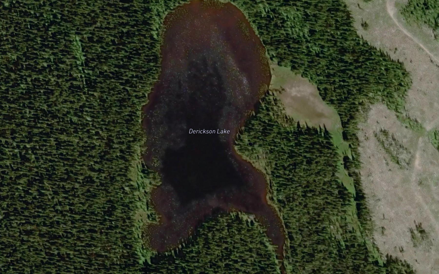 Satellite map of the Derickson Lake