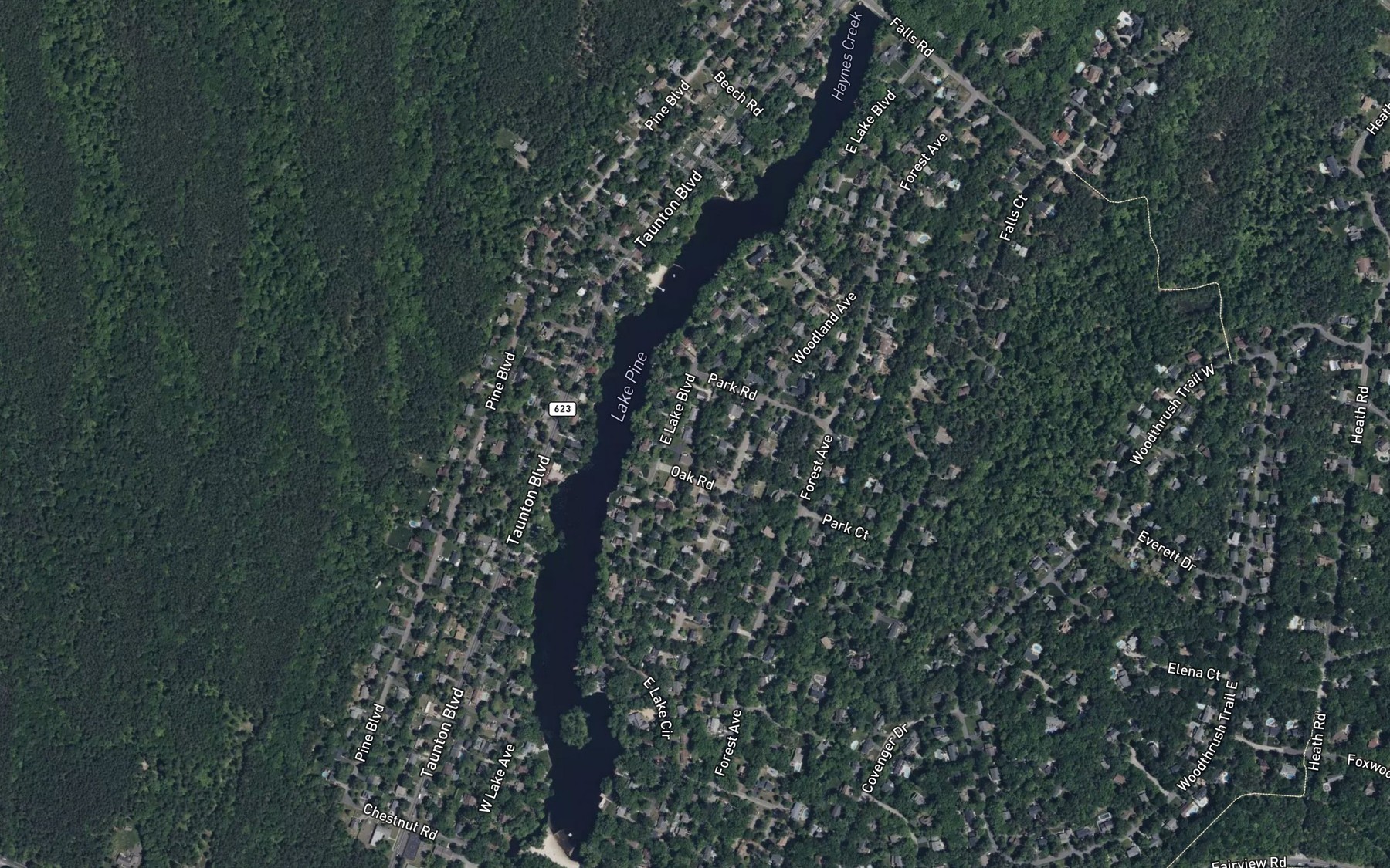 Satellite map of the Lake Pine