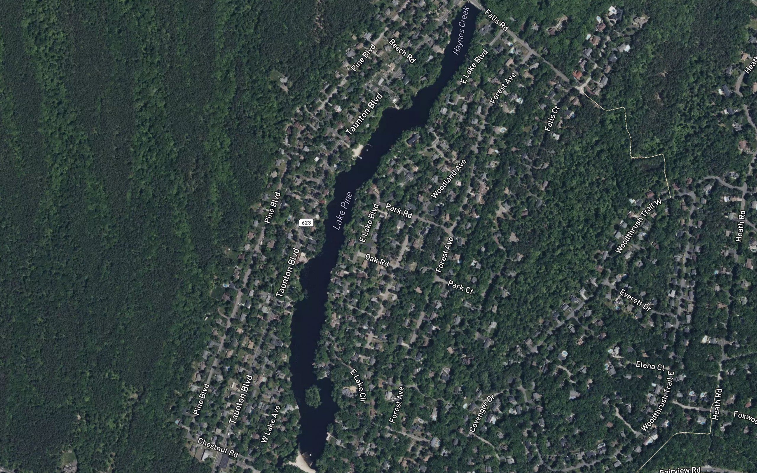 Lake Pine