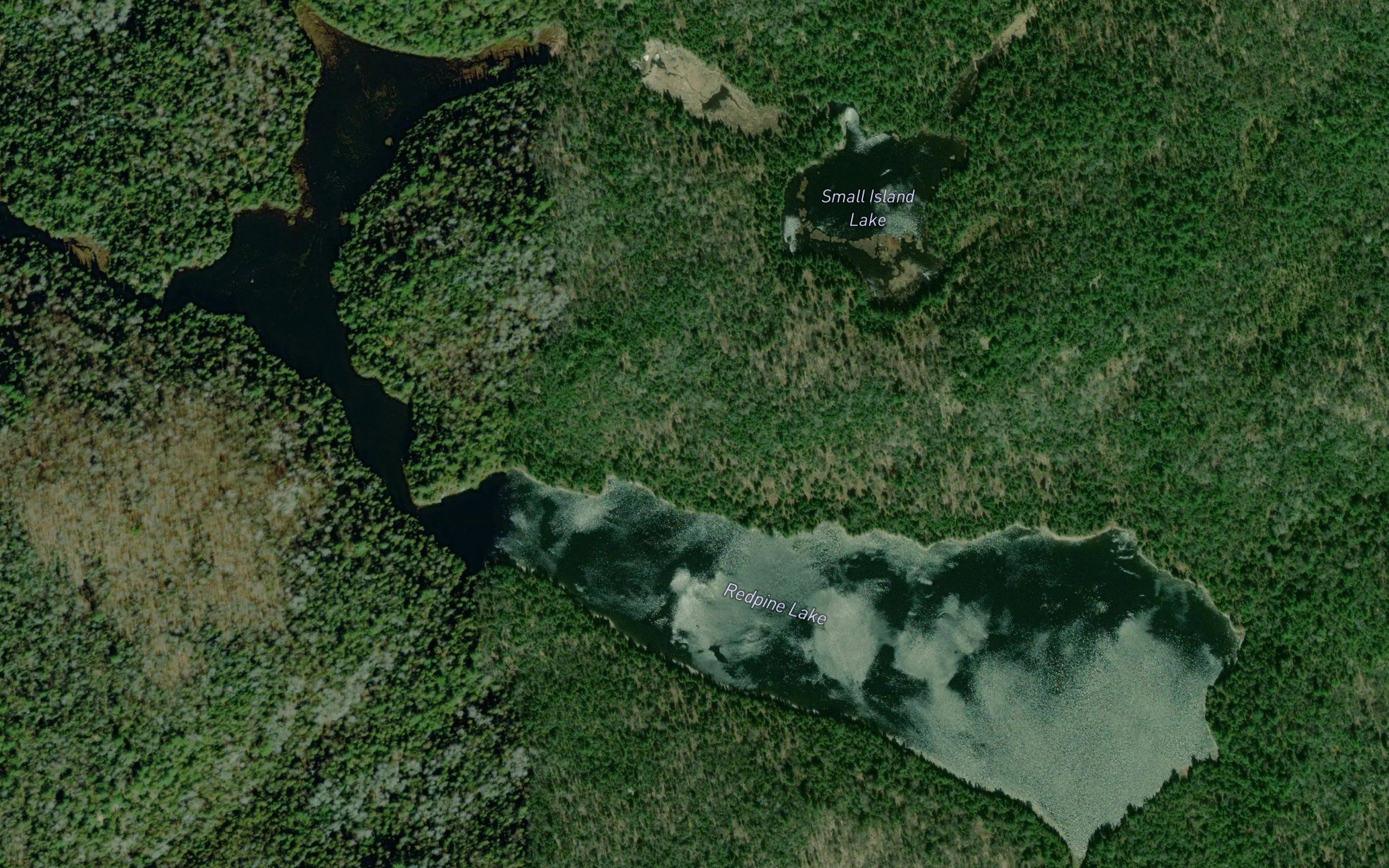 Redpine Lake