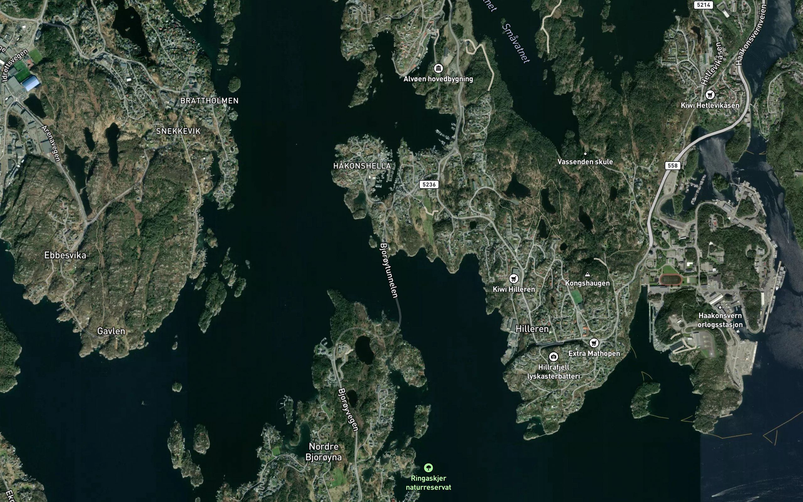 Magnevika