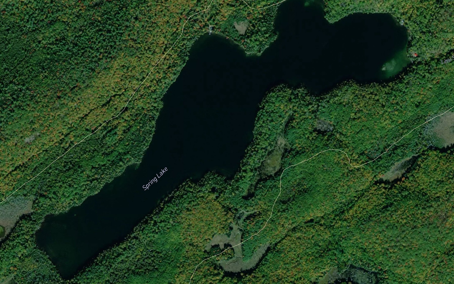 Satellite map of the Spring Lake
