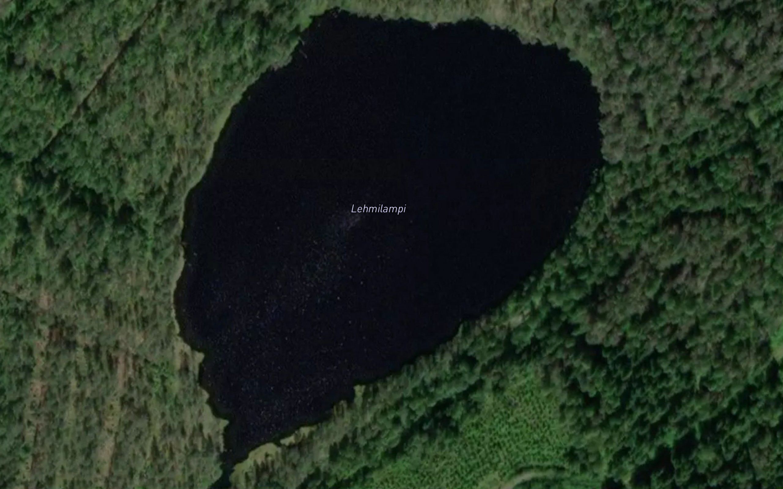 Lehmilampi