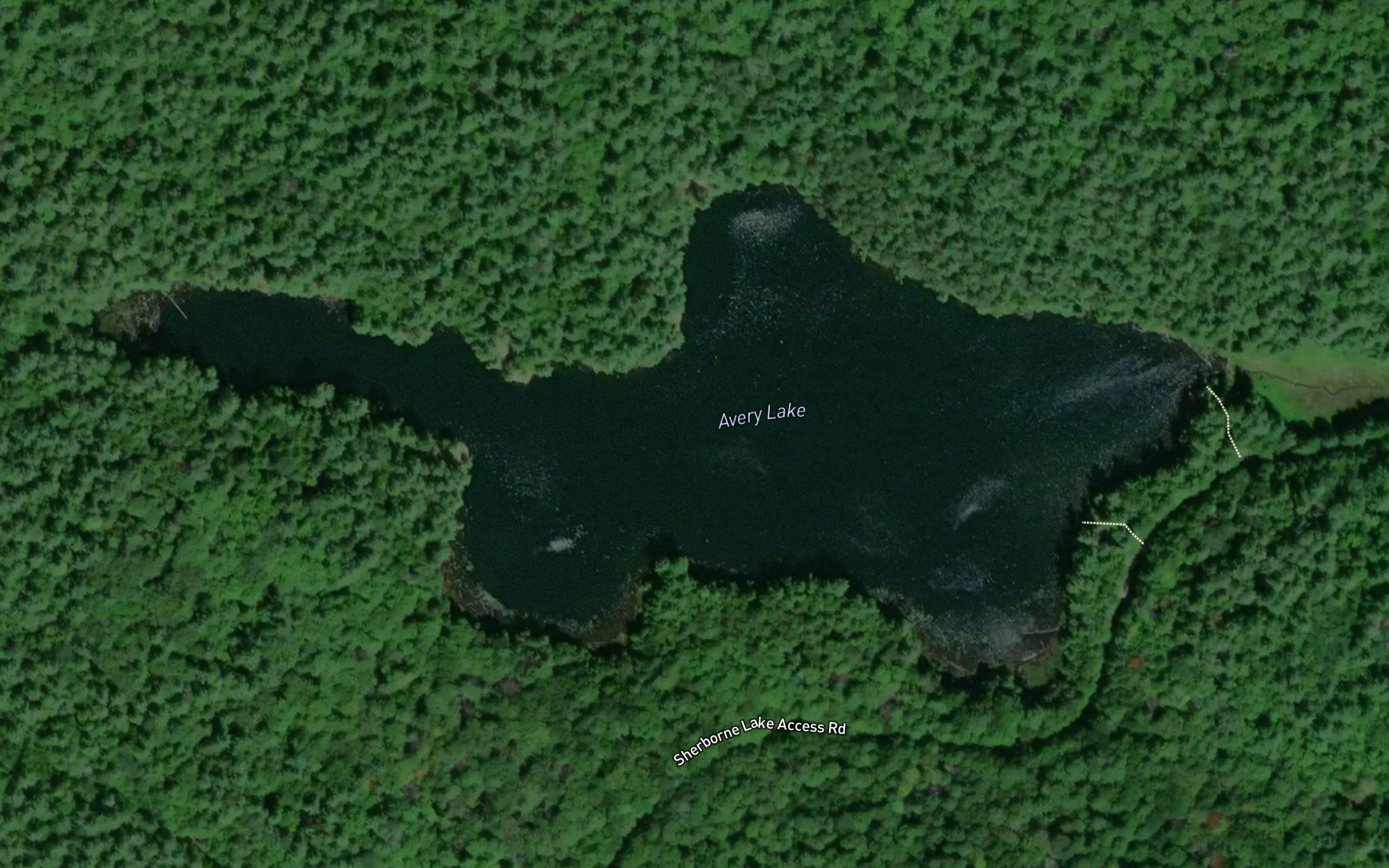 Avery Lake