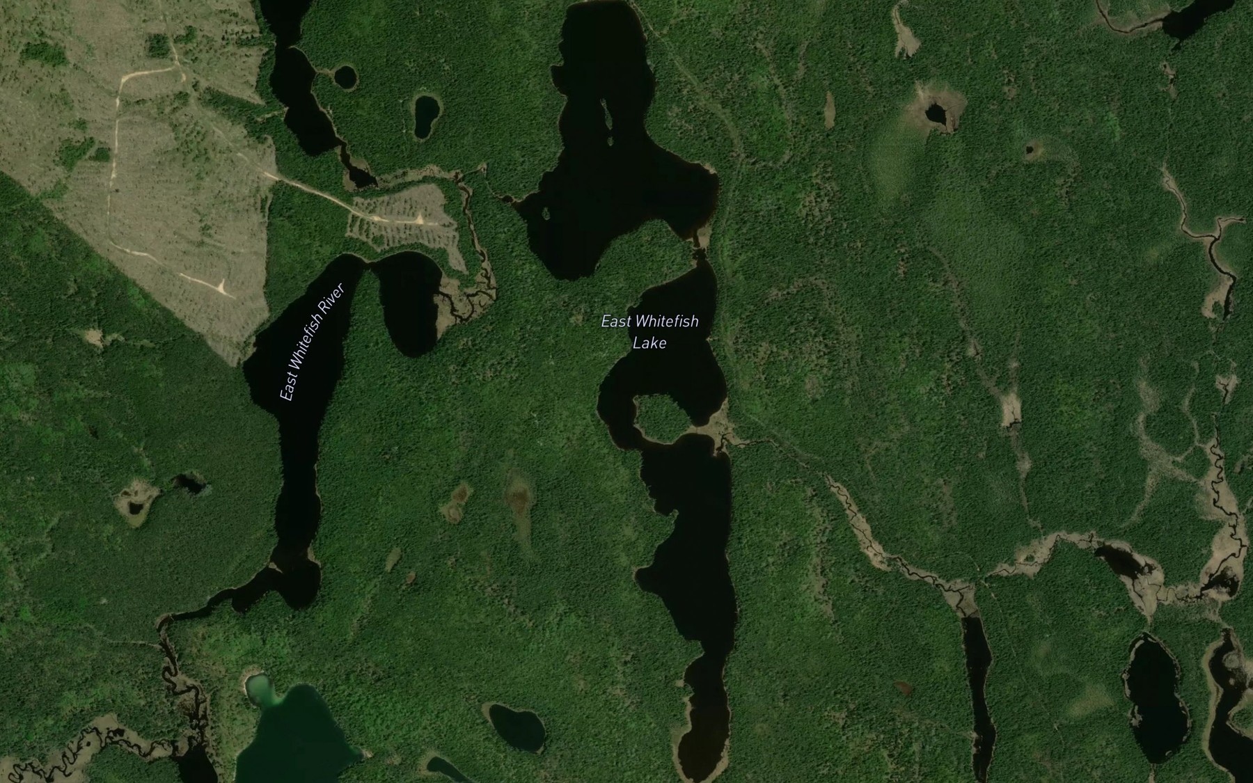 Satellite map of the East Whitefish Lake