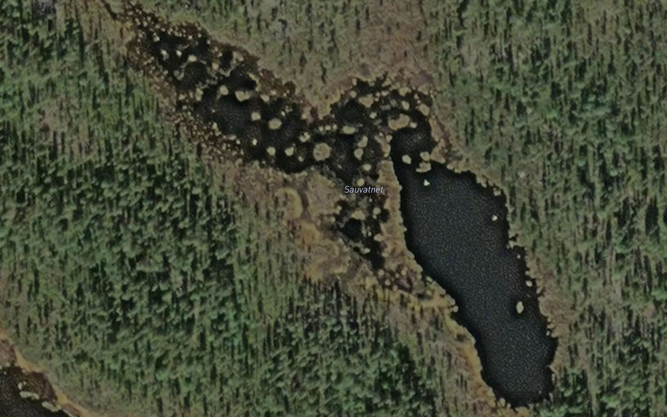 Sauvatnet