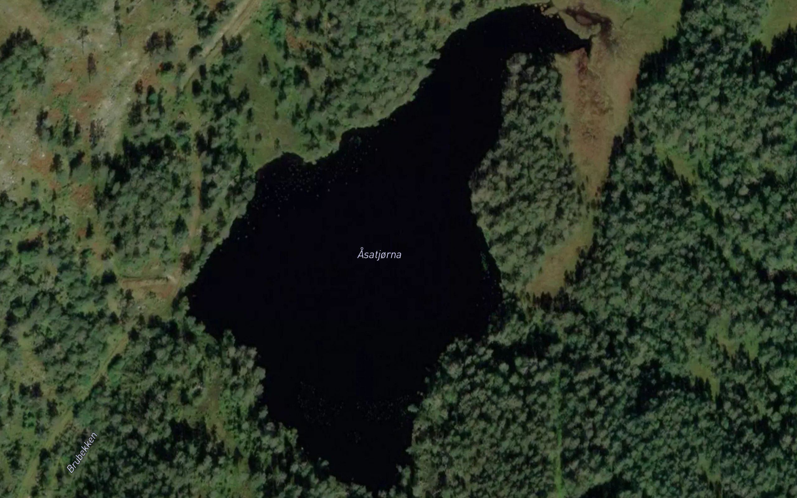 Asatjorna
