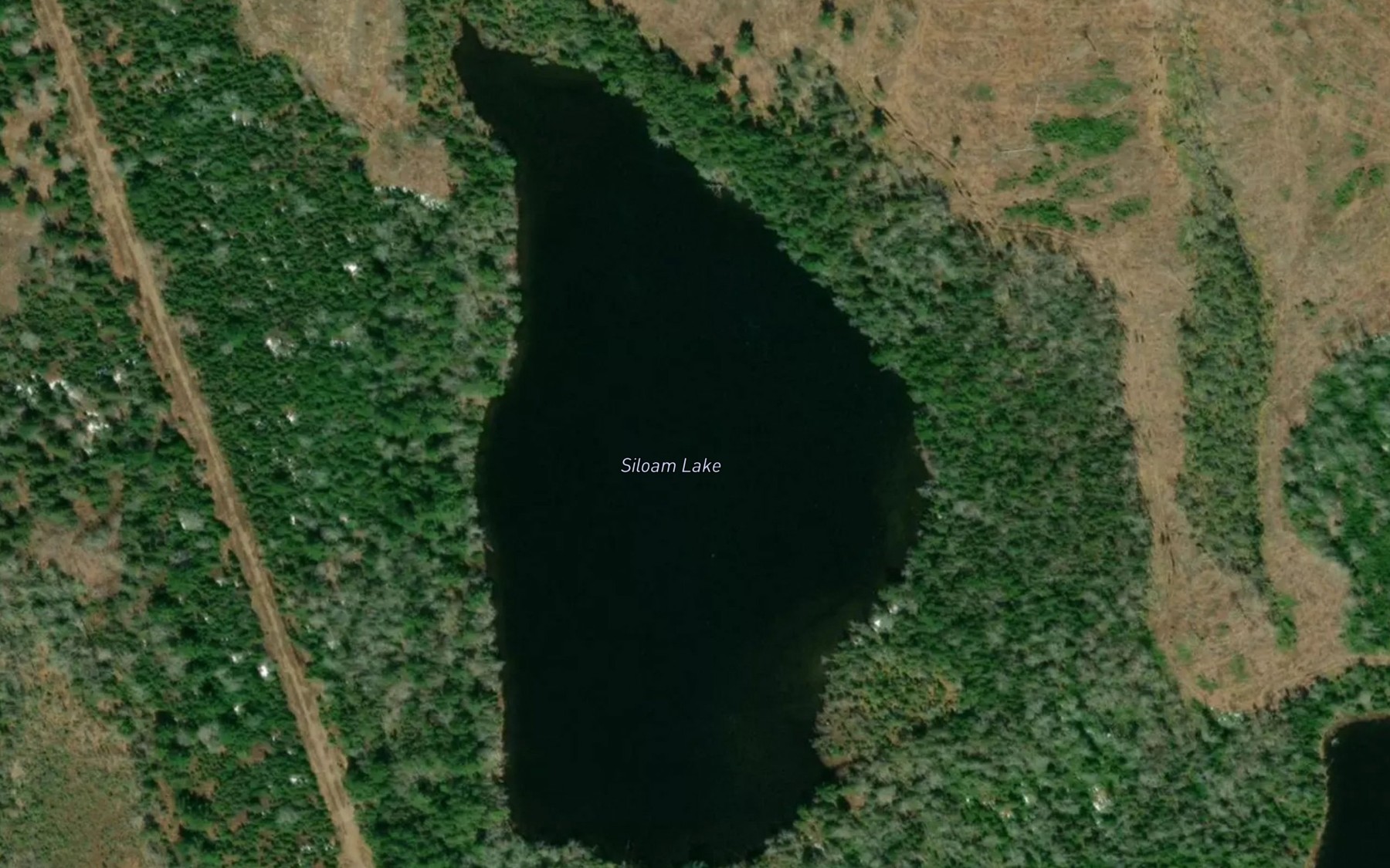 Satellite map of the Siloam Lake