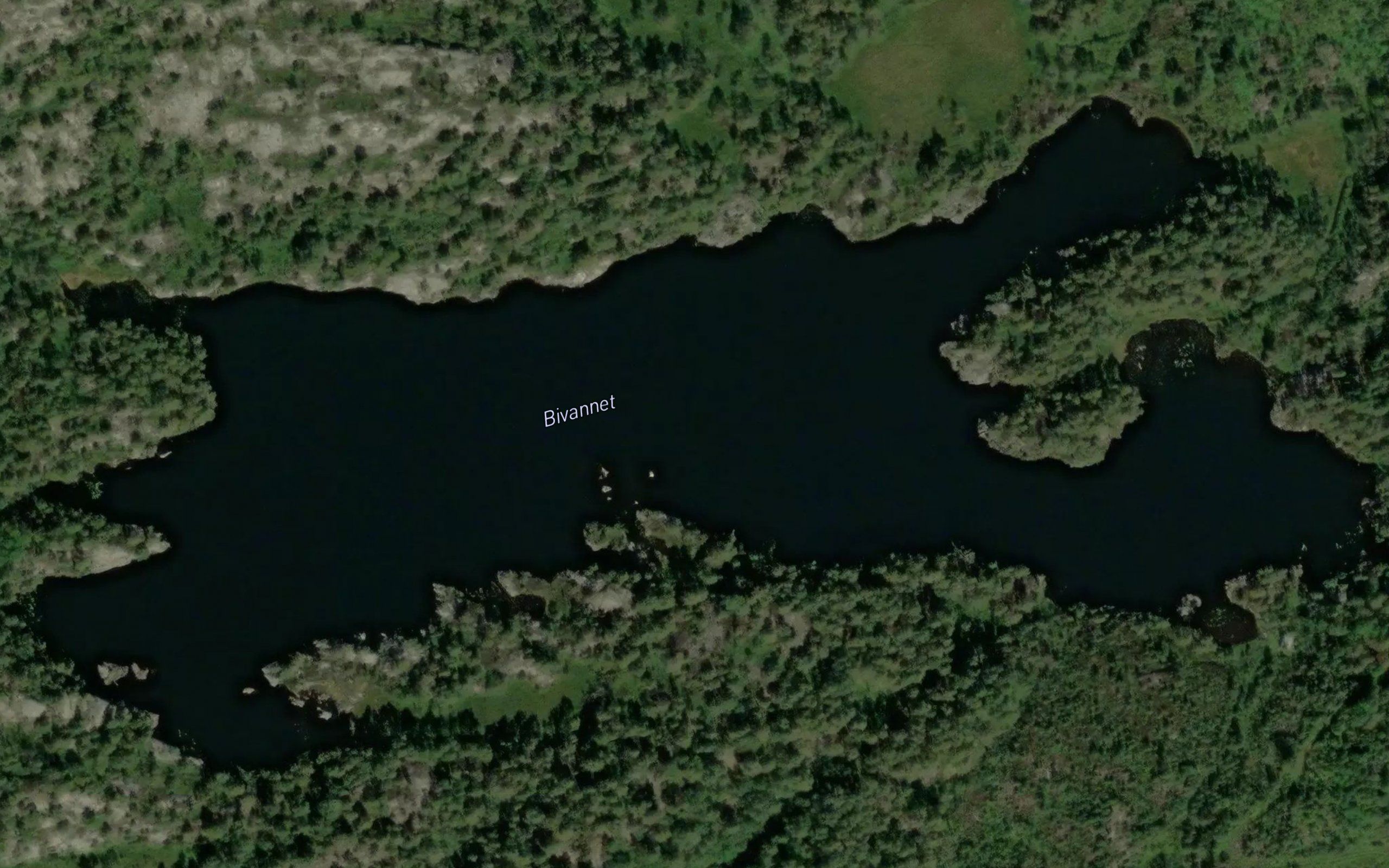 Bivannet