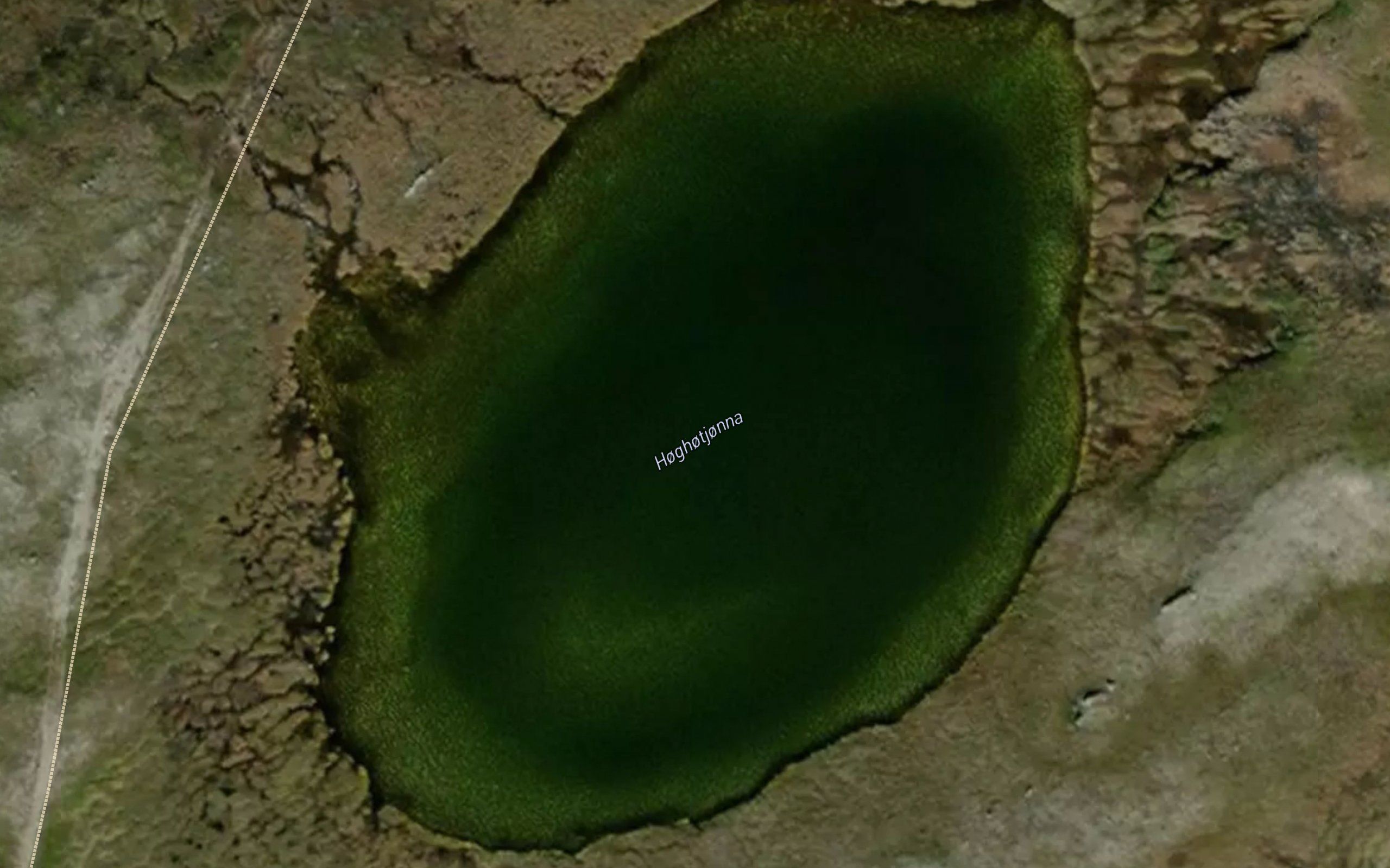 Hoghotjorna